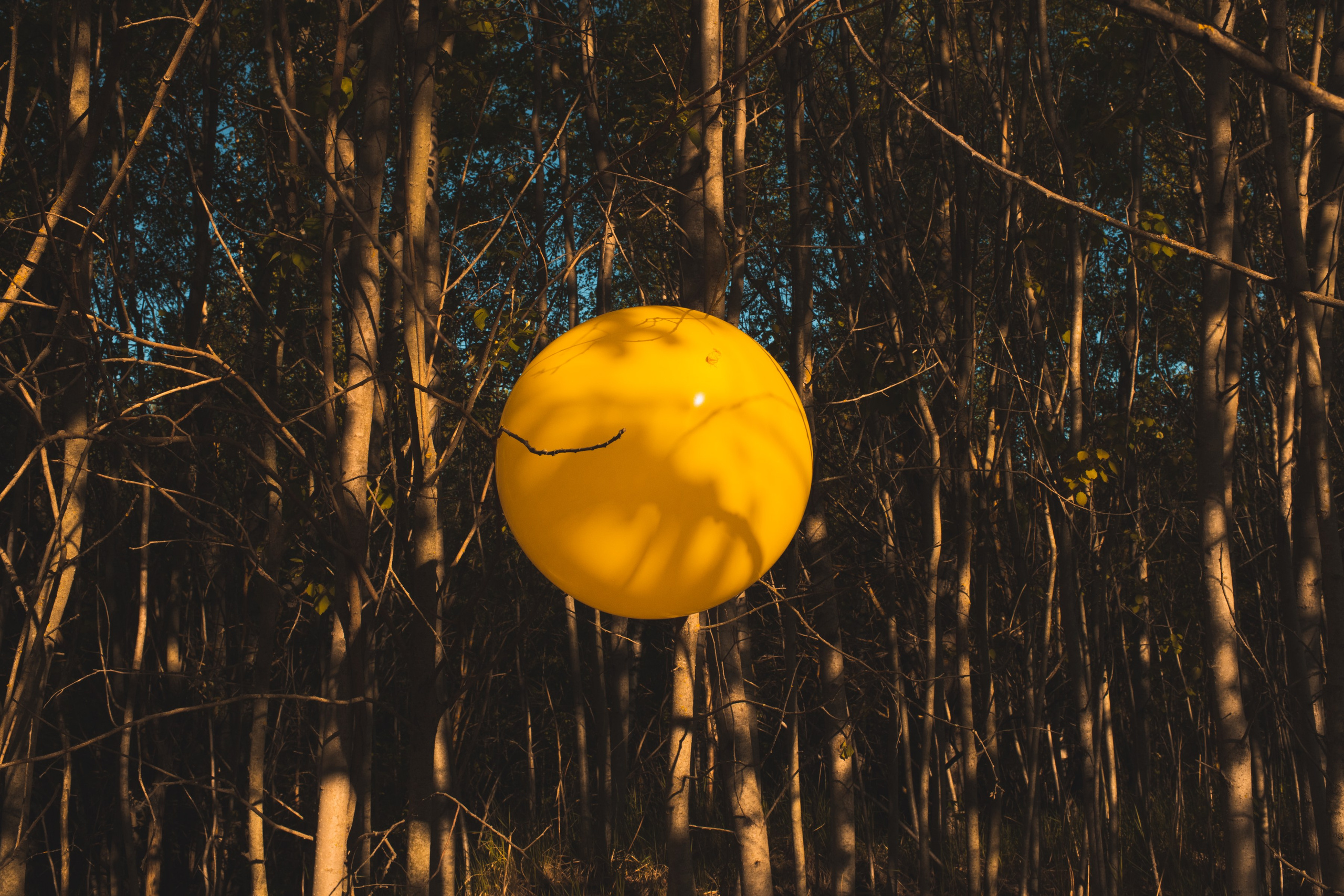 The Expiration Date. ALEXEY KRYLOV | Photography