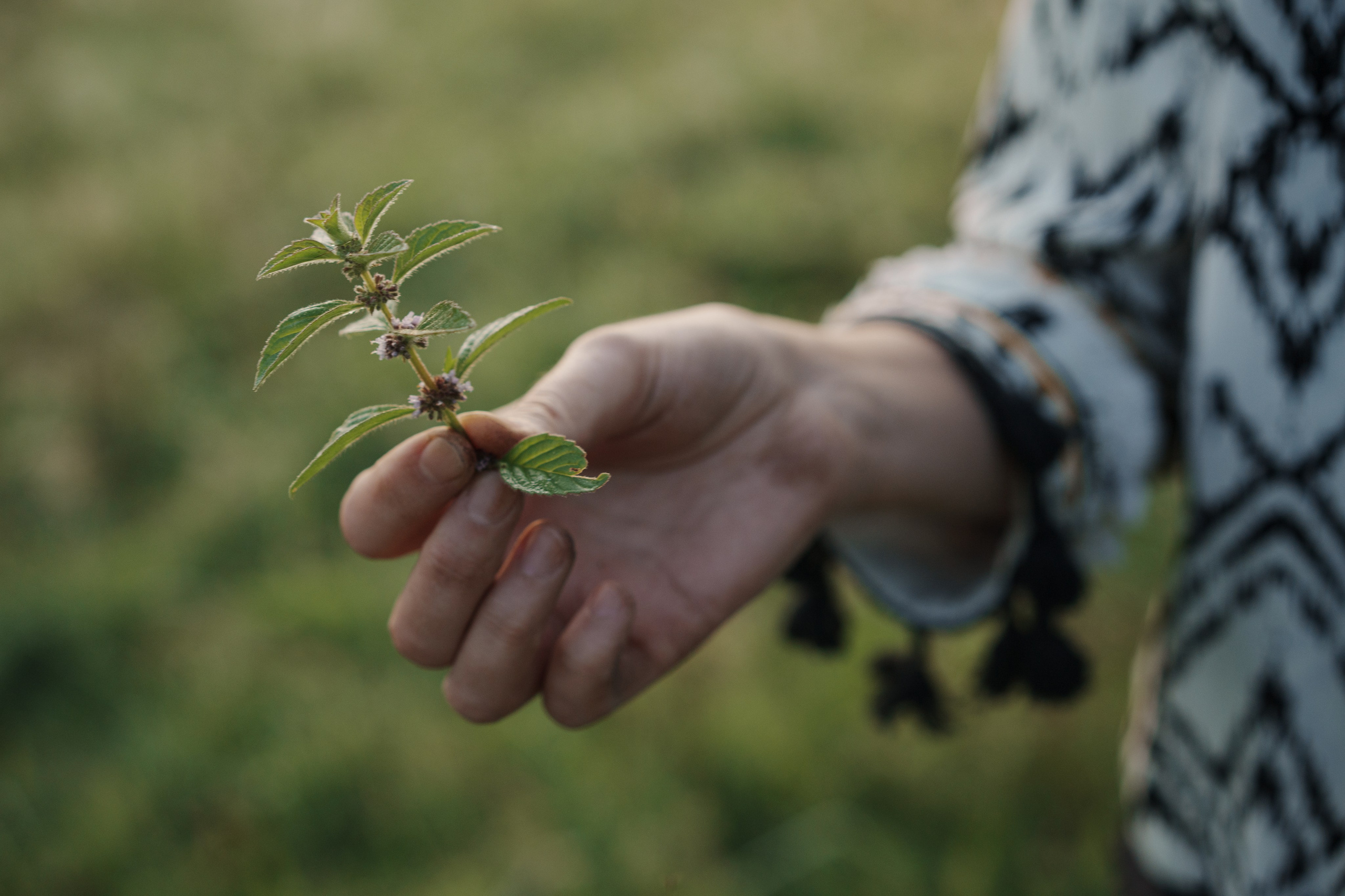 Маша. Семейный фотограф Клубкова Мария. Поместье Клу