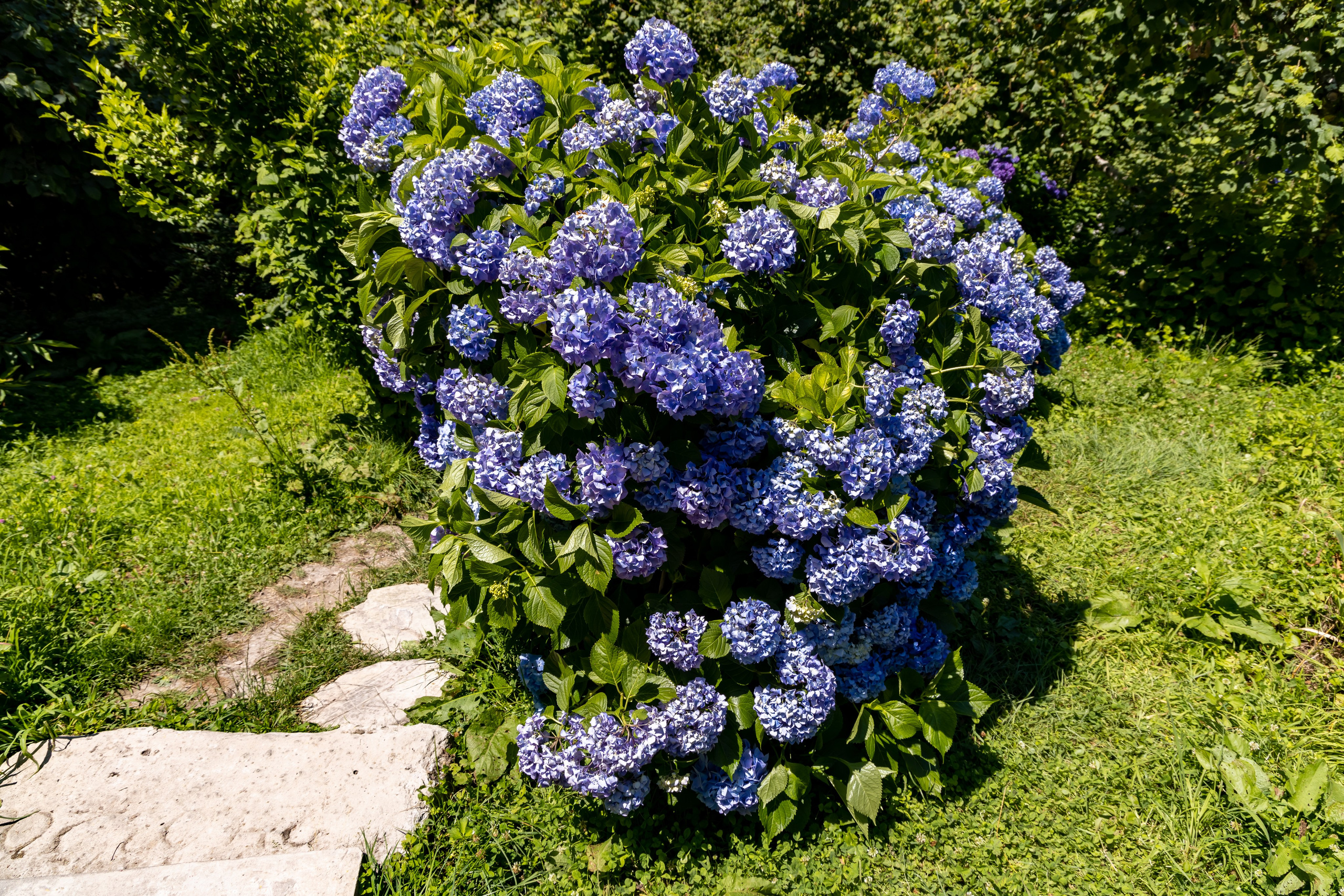 Сочи. Солох Аул. Репортажный, семейный и студийный фотограф в Москве Демин Алексей