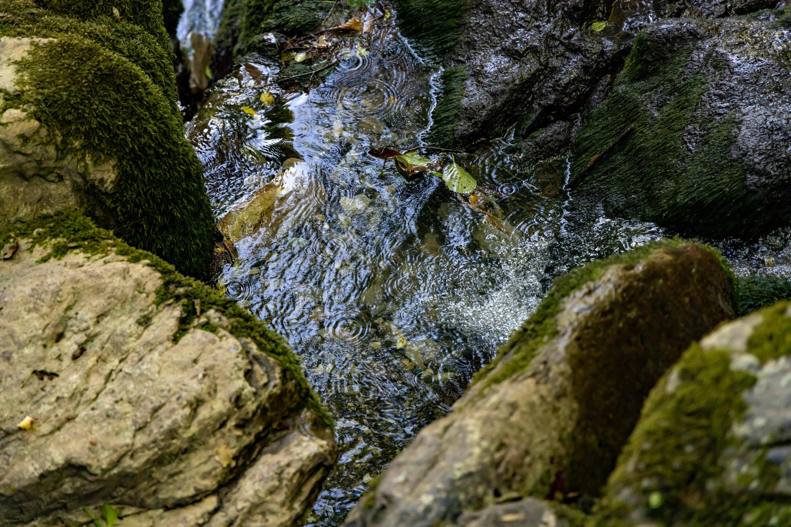Сочи. Солох Аул. Репортажный, семейный и студийный фотограф в Москве Демин Алексей