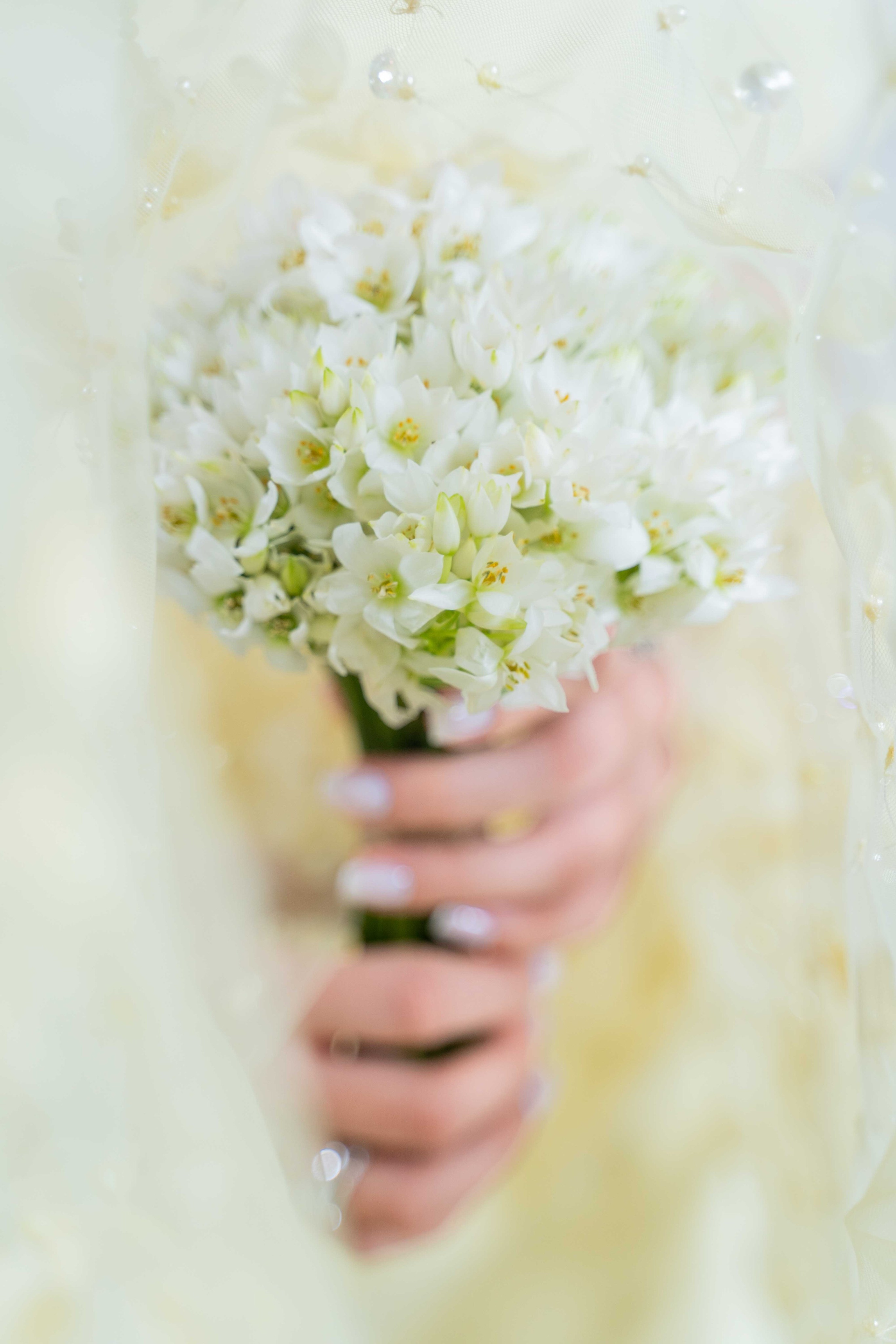 Арабская скромная помолвка дома (приватность на женские лица). Фотограф и видеограф в Москве и Абу Даби Мария Кулагина