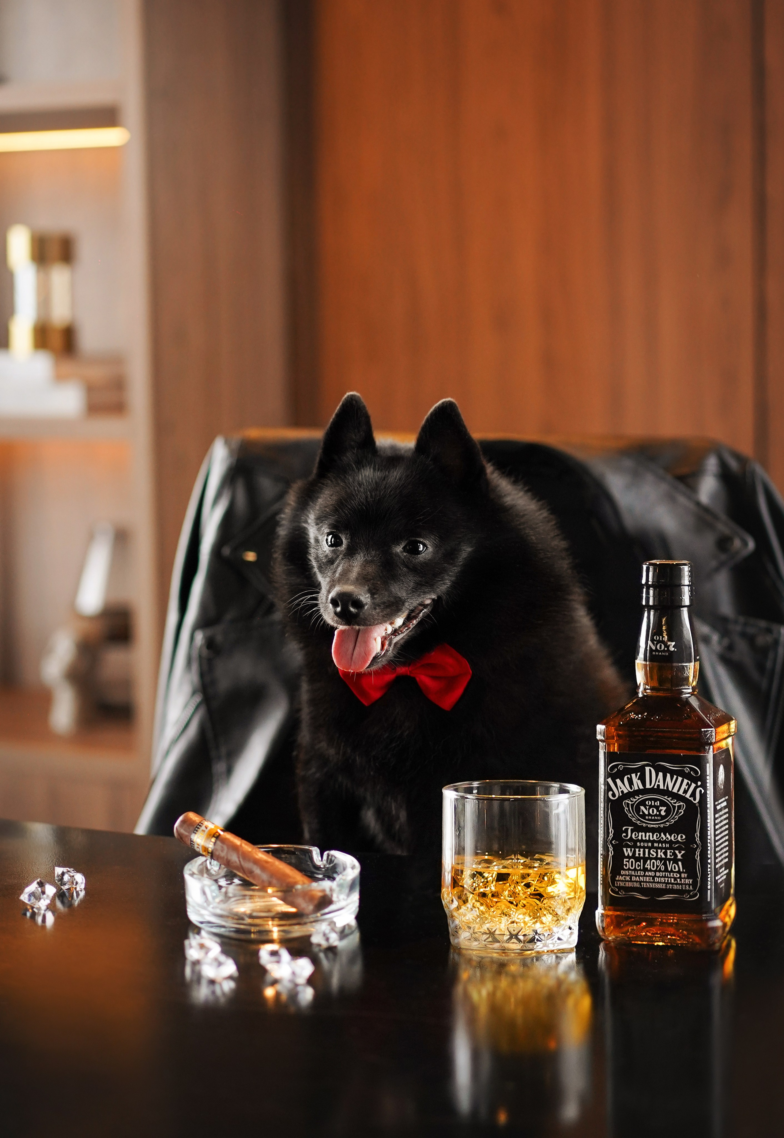 Аня и Майкл. Фотограф-анималист в Санкт-Петербурге Яна Мартынова