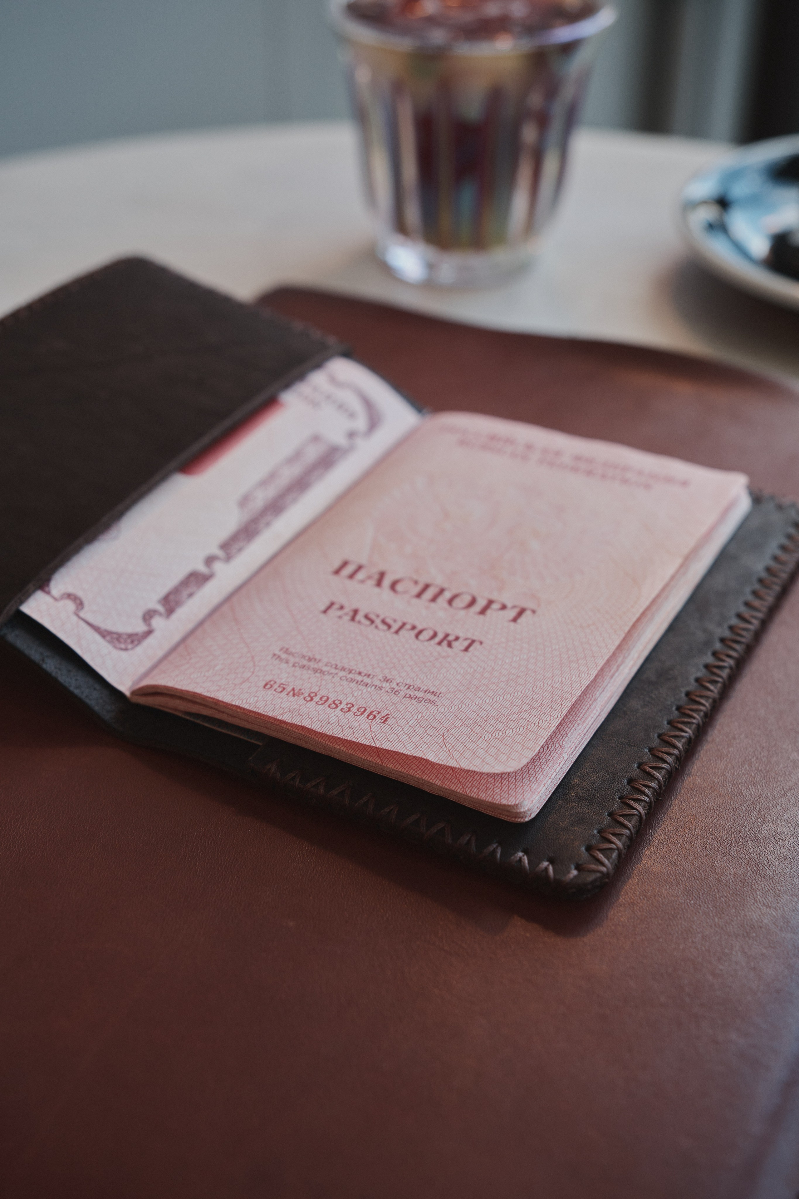 Обложка для паспорта. KIMESTHETICA