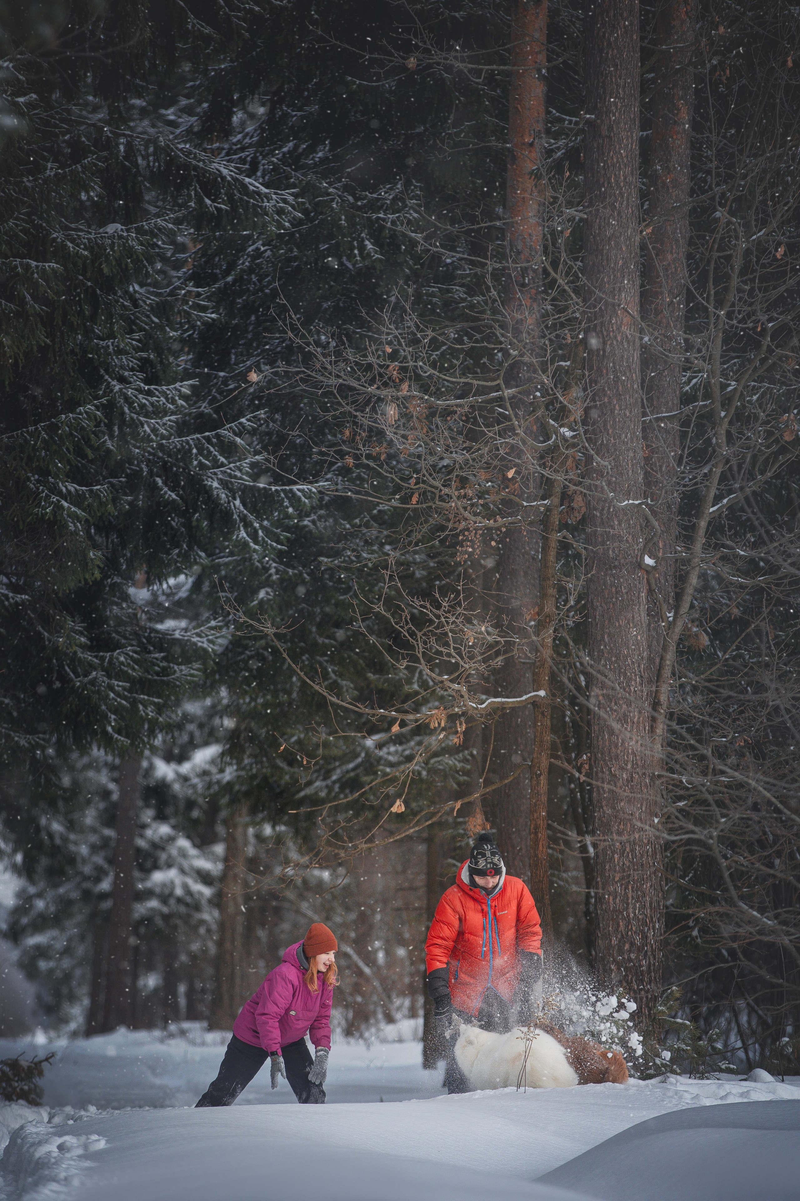 Руби, Николь, Кирилл и Мила. Фотограф анималист в Москве Майорова Евгения