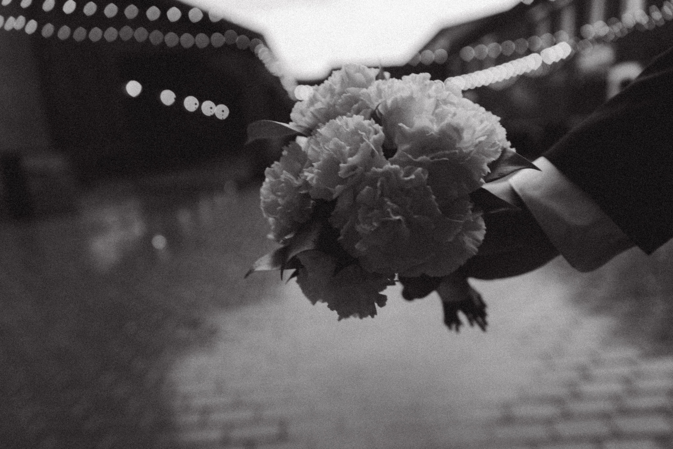 Красивая дата 25.04.2025. VOLOCHKOVA