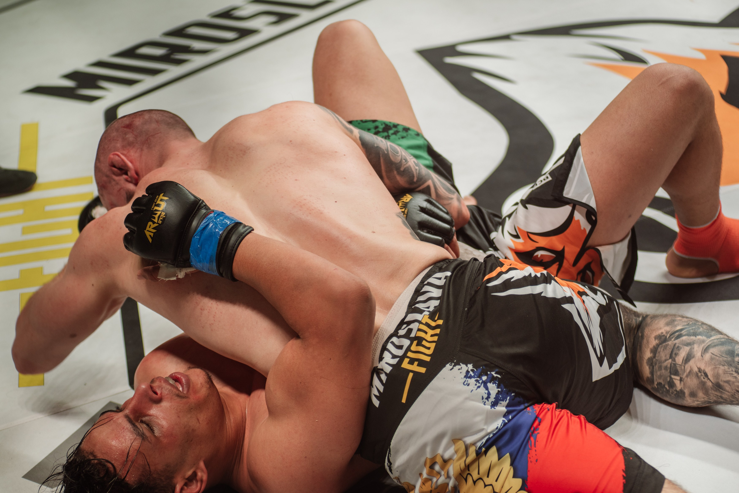 Miroslava Fight