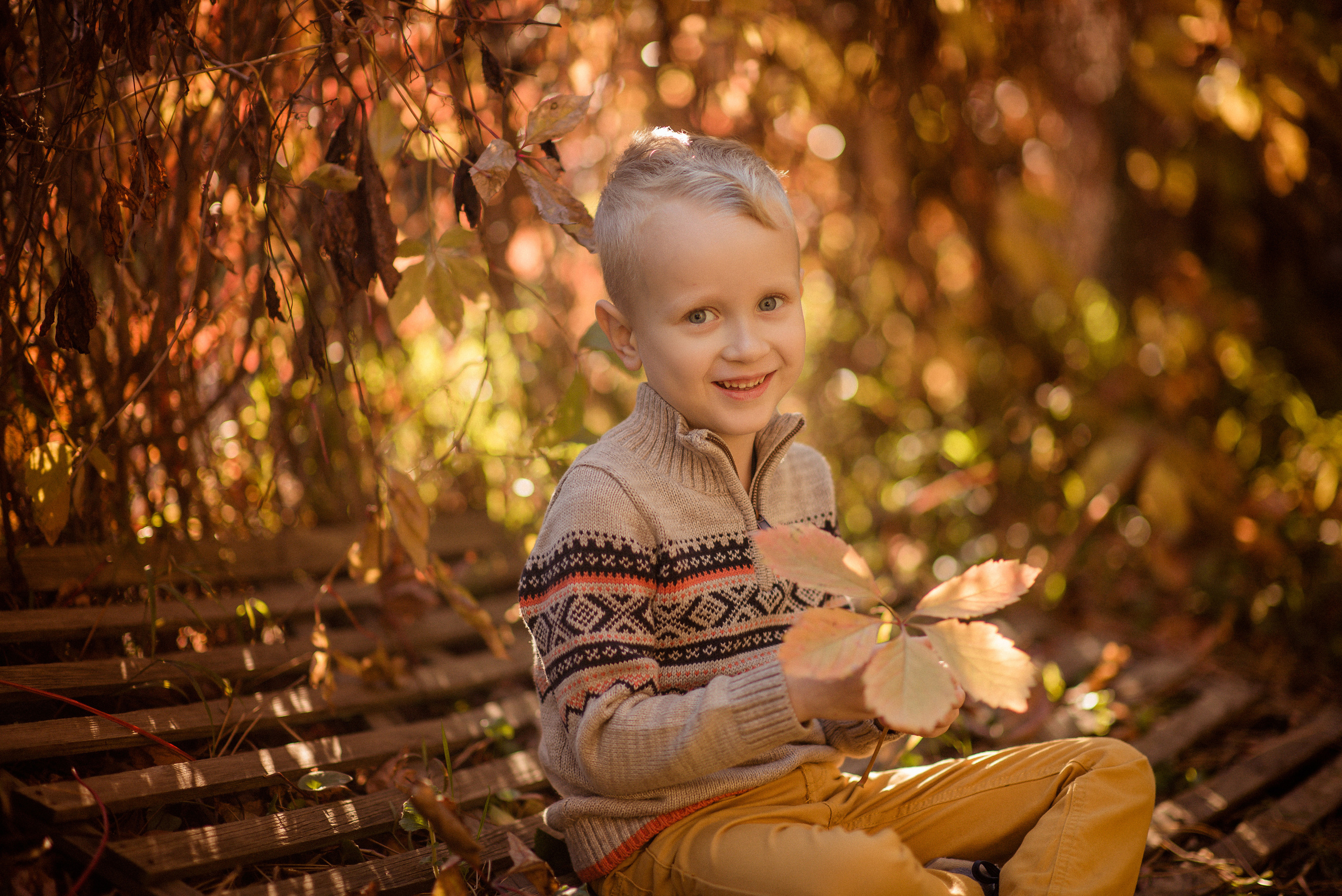 Осень. Семейный и женский фотограф в Москве и Ставрополе Эвелина Багдасарова