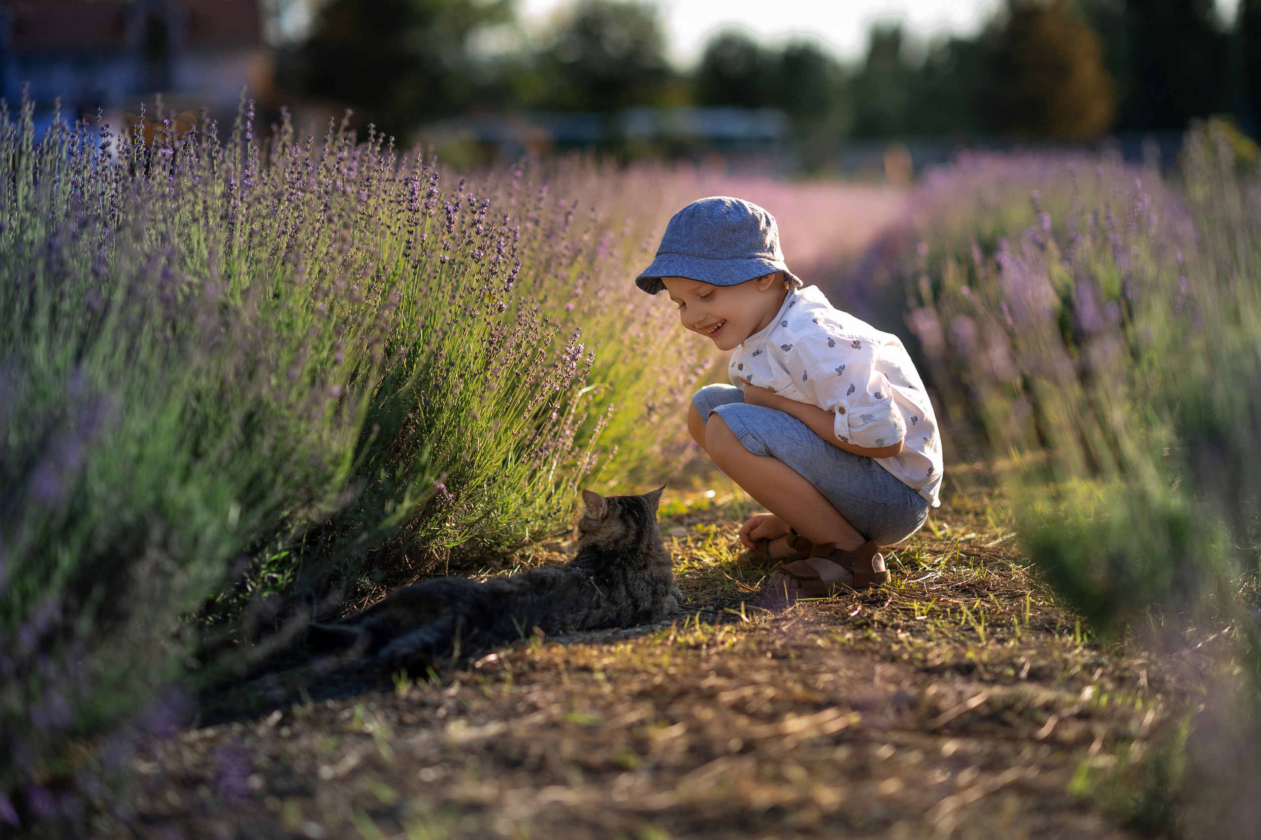 Однажды в лаванде. Семейный и женский фотограф в Москве и Ставрополе Эвелина Багдасарова