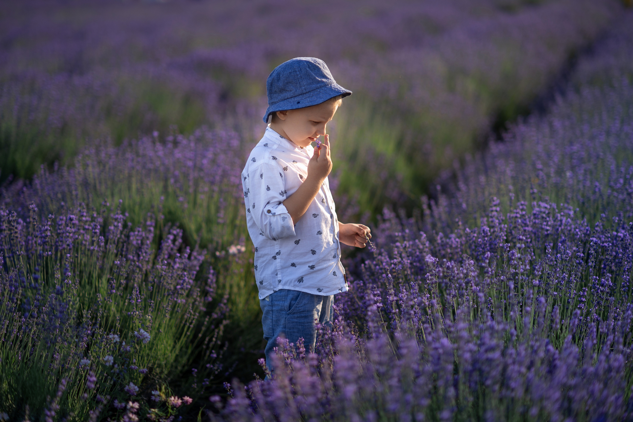 Однажды в лаванде. Семейный и женский фотограф в Москве и Ставрополе Эвелина Багдасарова