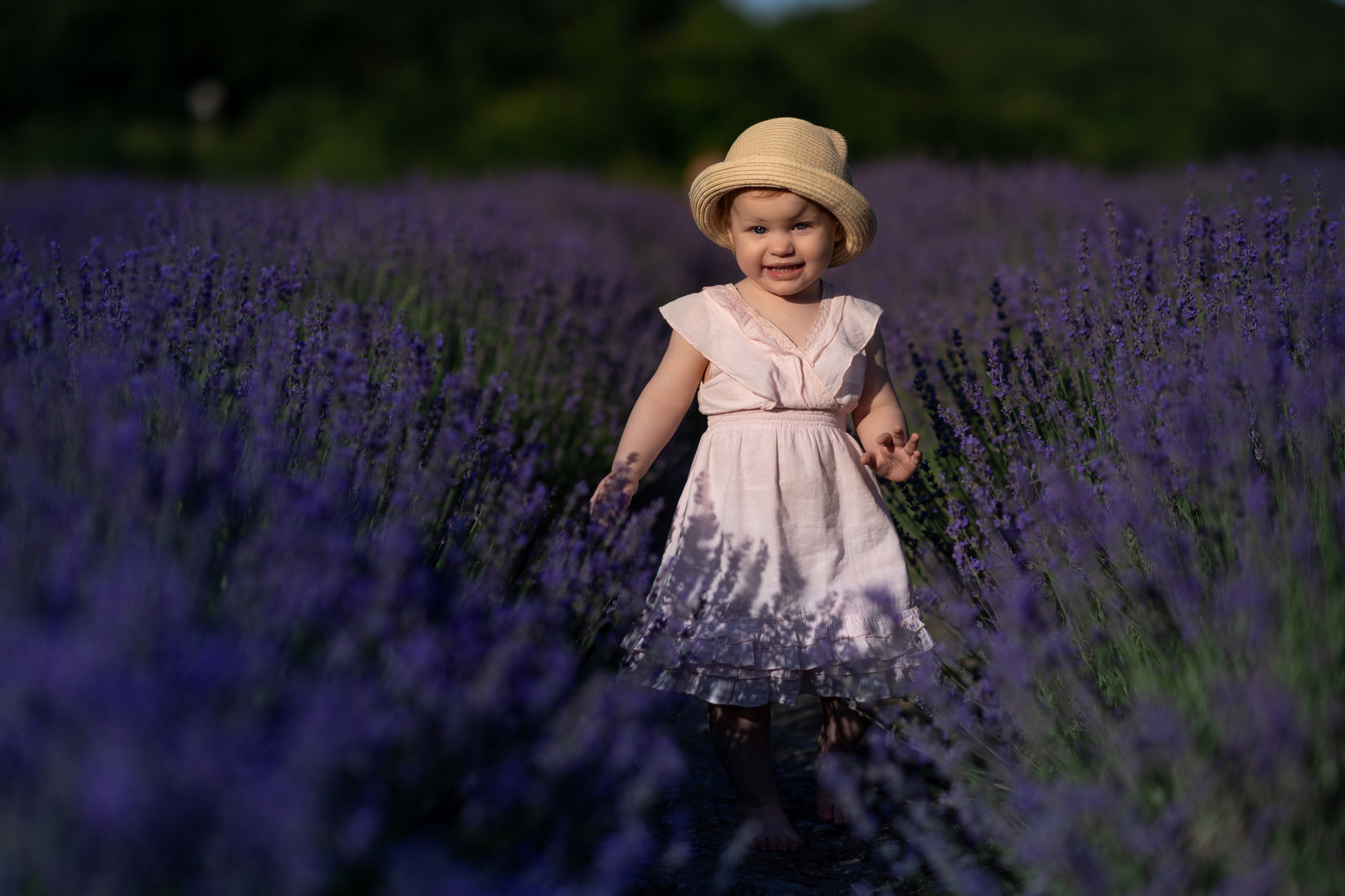 Однажды в лаванде. Семейный и женский фотограф в Москве и Ставрополе Эвелина Багдасарова