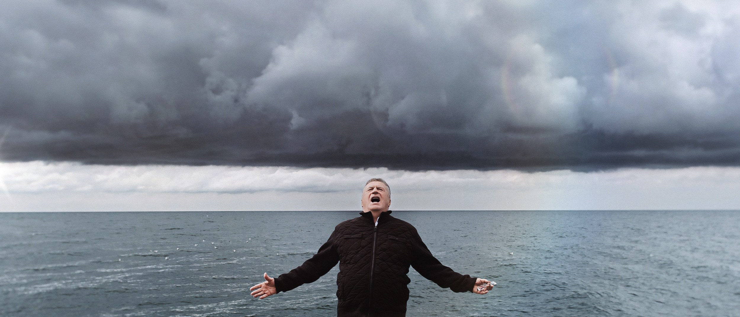 Portfolio. The Andris