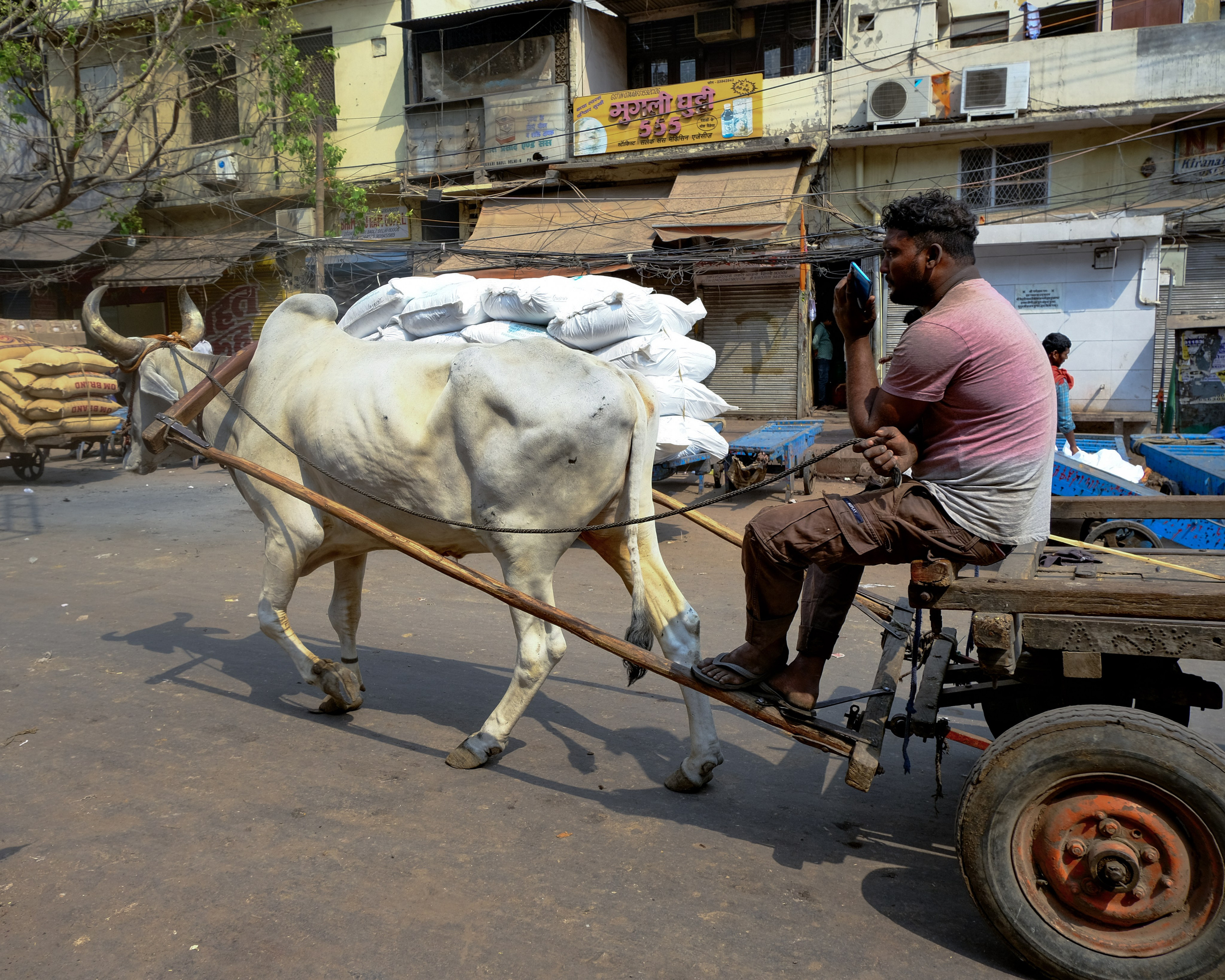 Дели: Рынок и Трущобы. Фотографии из путешествий