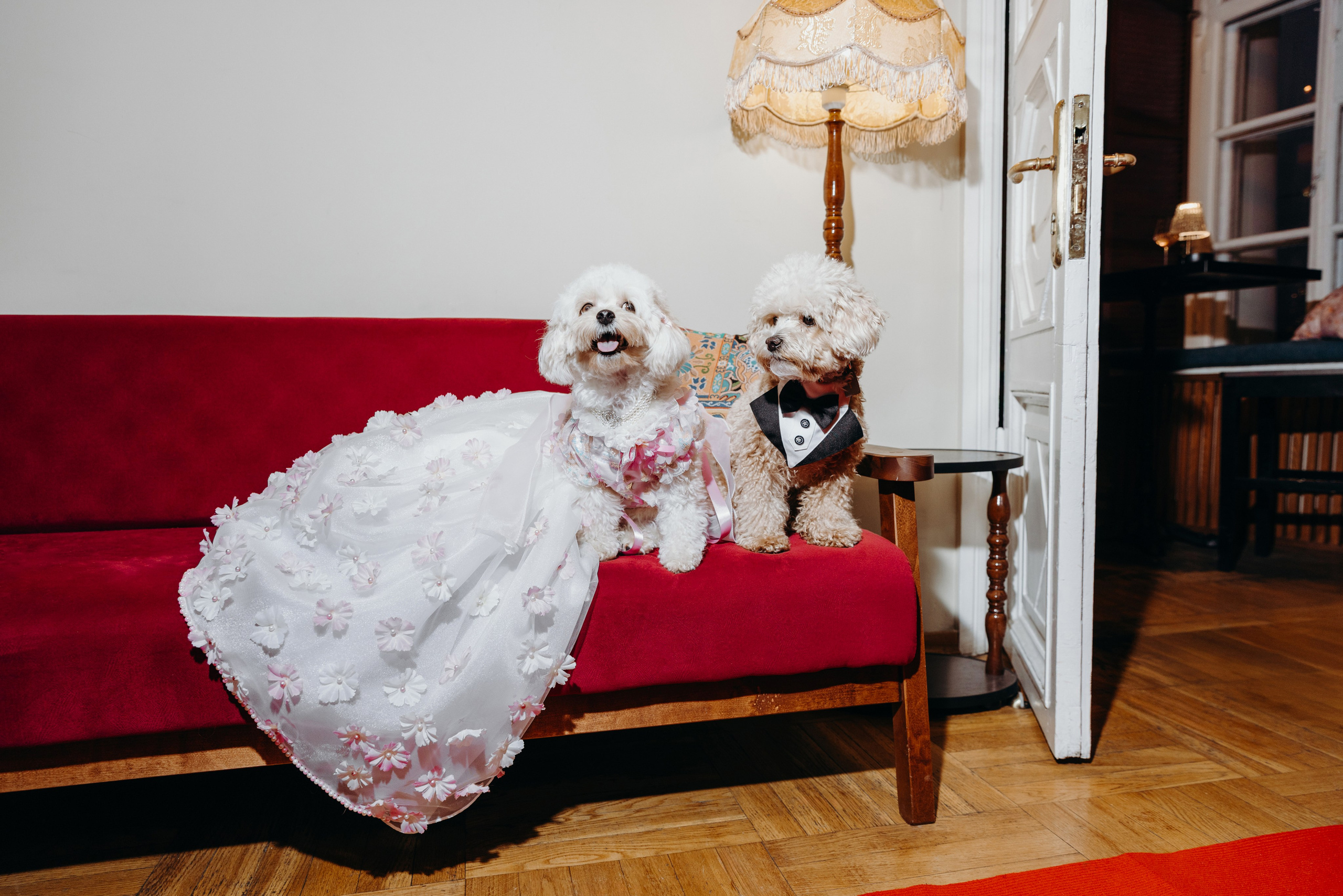 Светская хвостатая хроника. Аксана Лисовская фотограф в Москве. Фотографии с характером