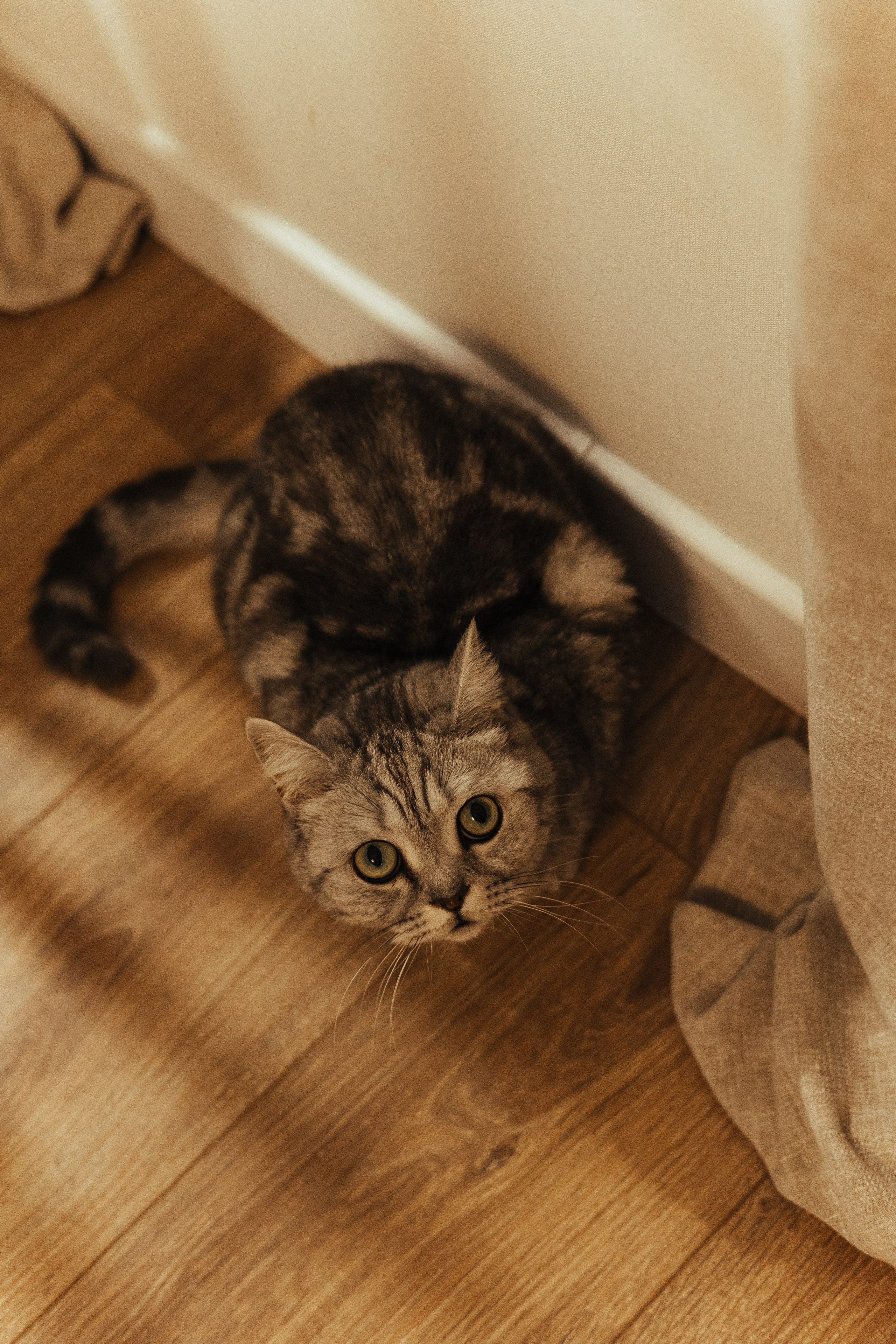 Таня, Кирилл и Мия. Свадебный и семейный фотограф в Вологде Екатерина Назарина