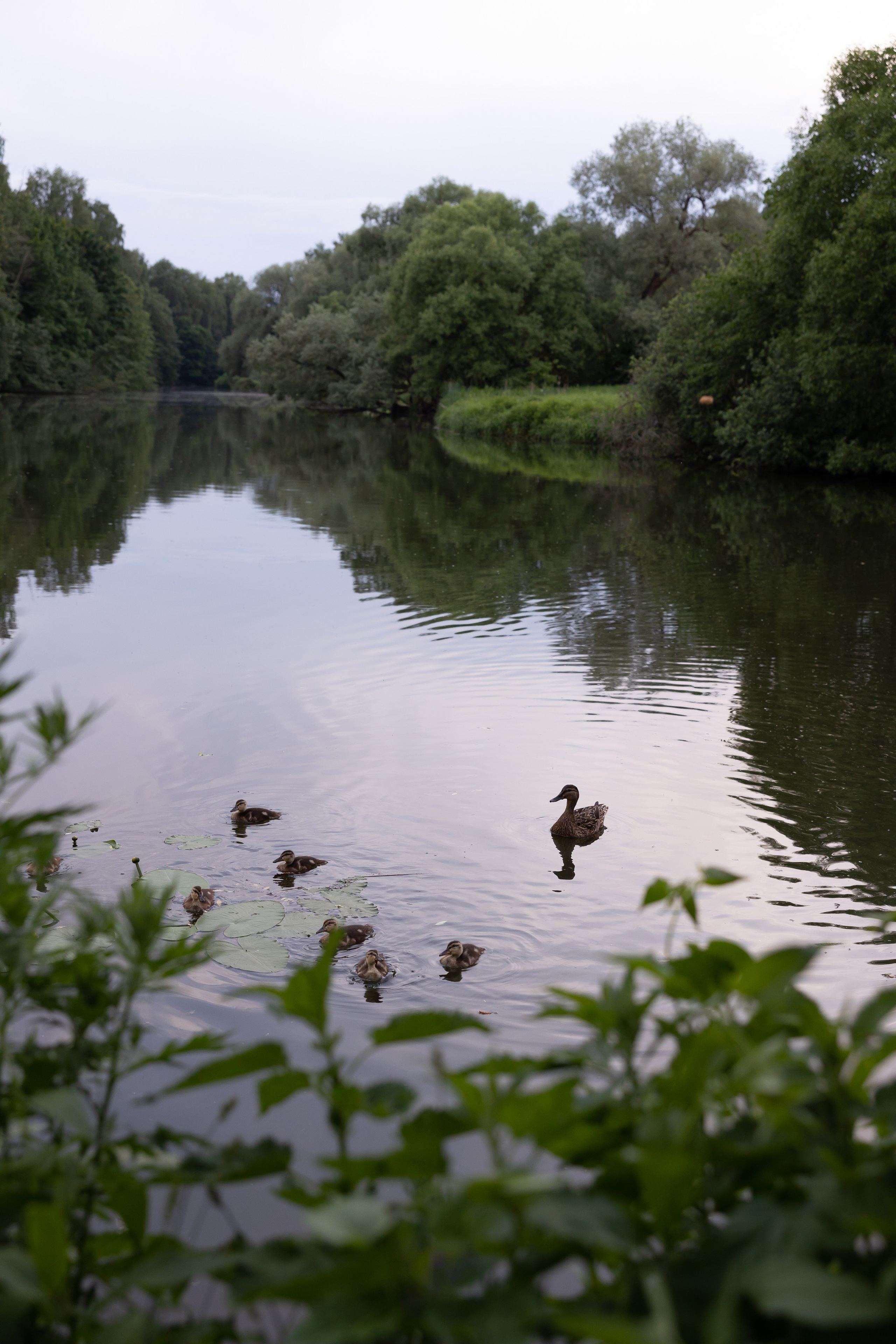 Прогулка в парке. Сказочный фотограф для Вас и Вашей семьи