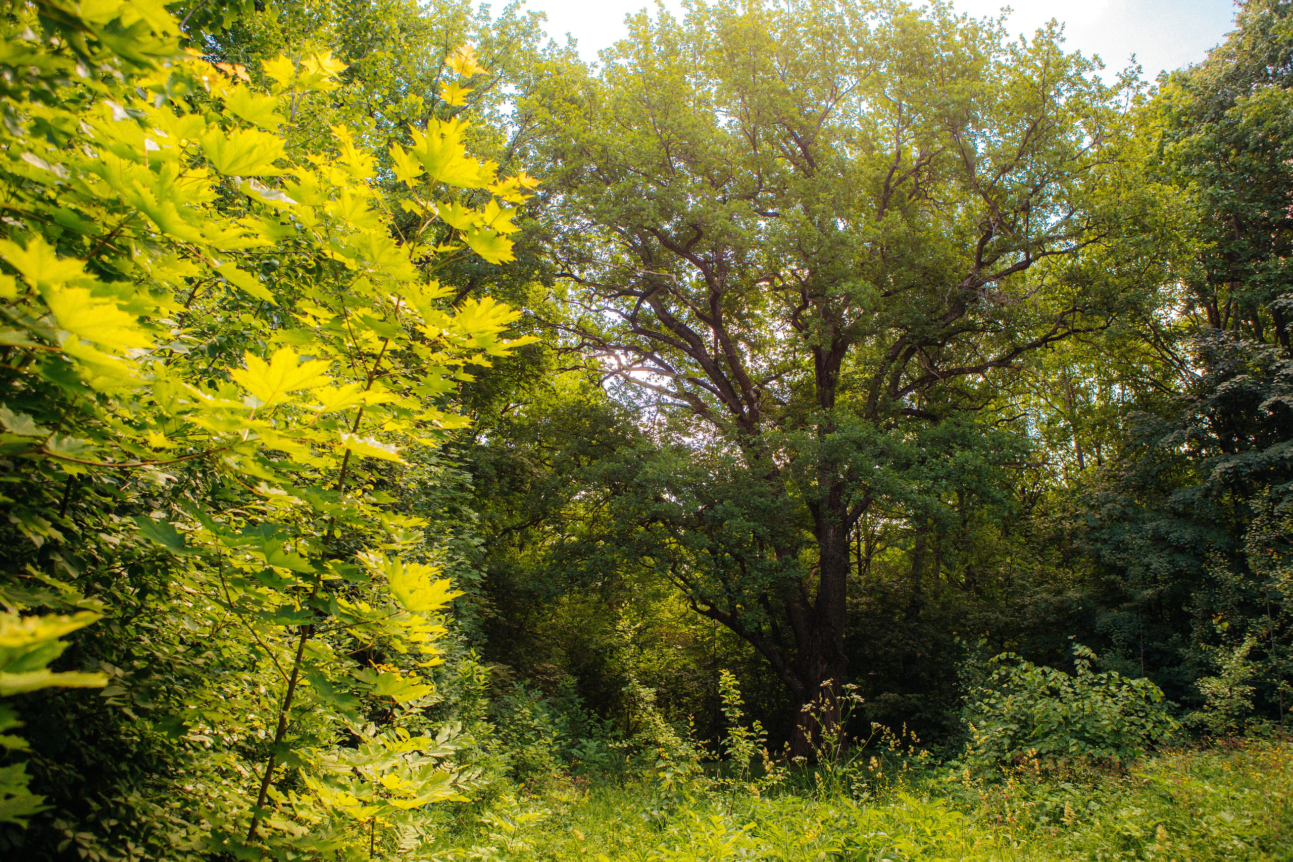 Музей-усадьба «Никольское-Вяземское». Профессиональный фотограф в Мценске и Орловской области