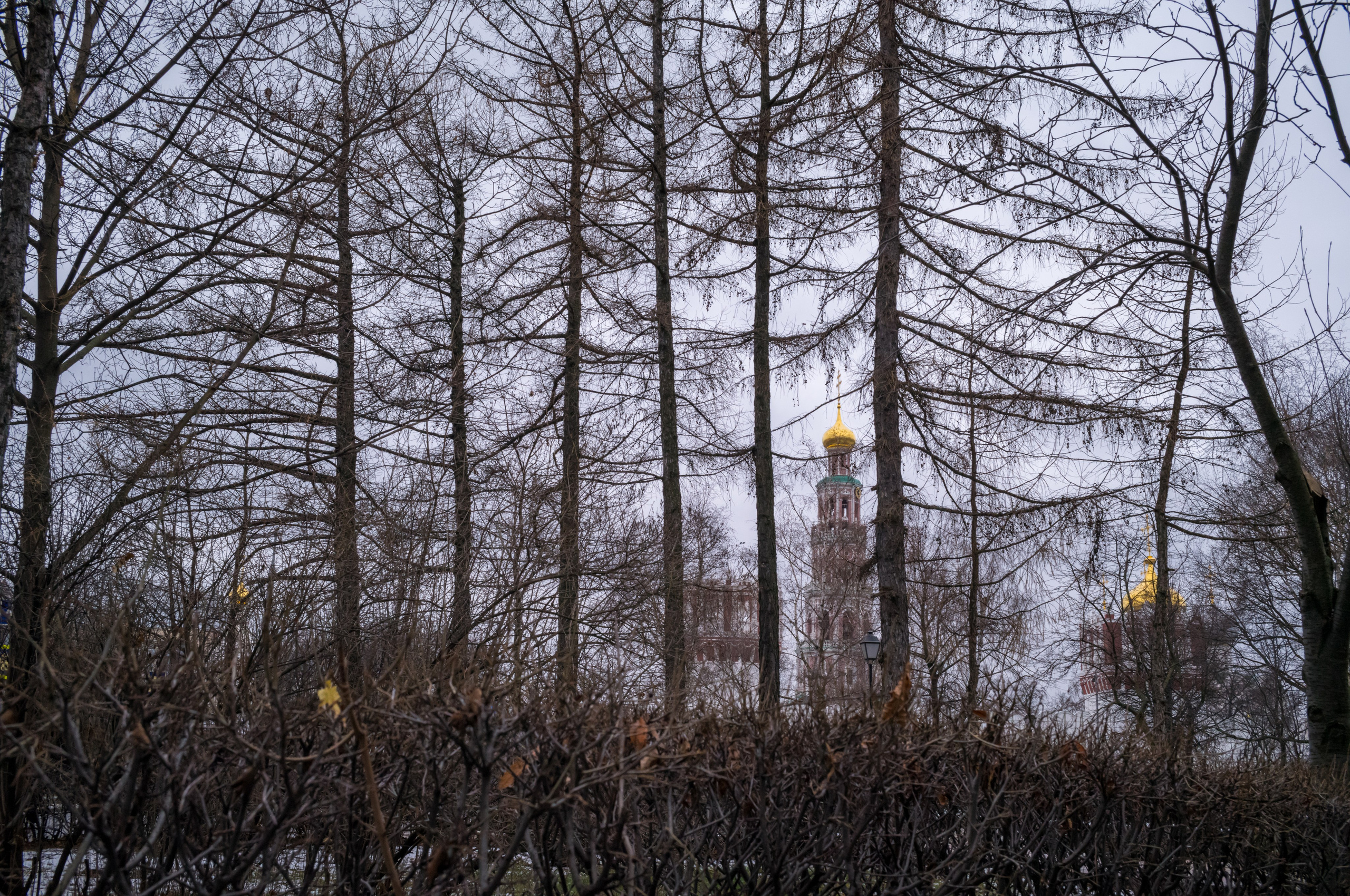 Новодевичий монастырь готовится к зиме