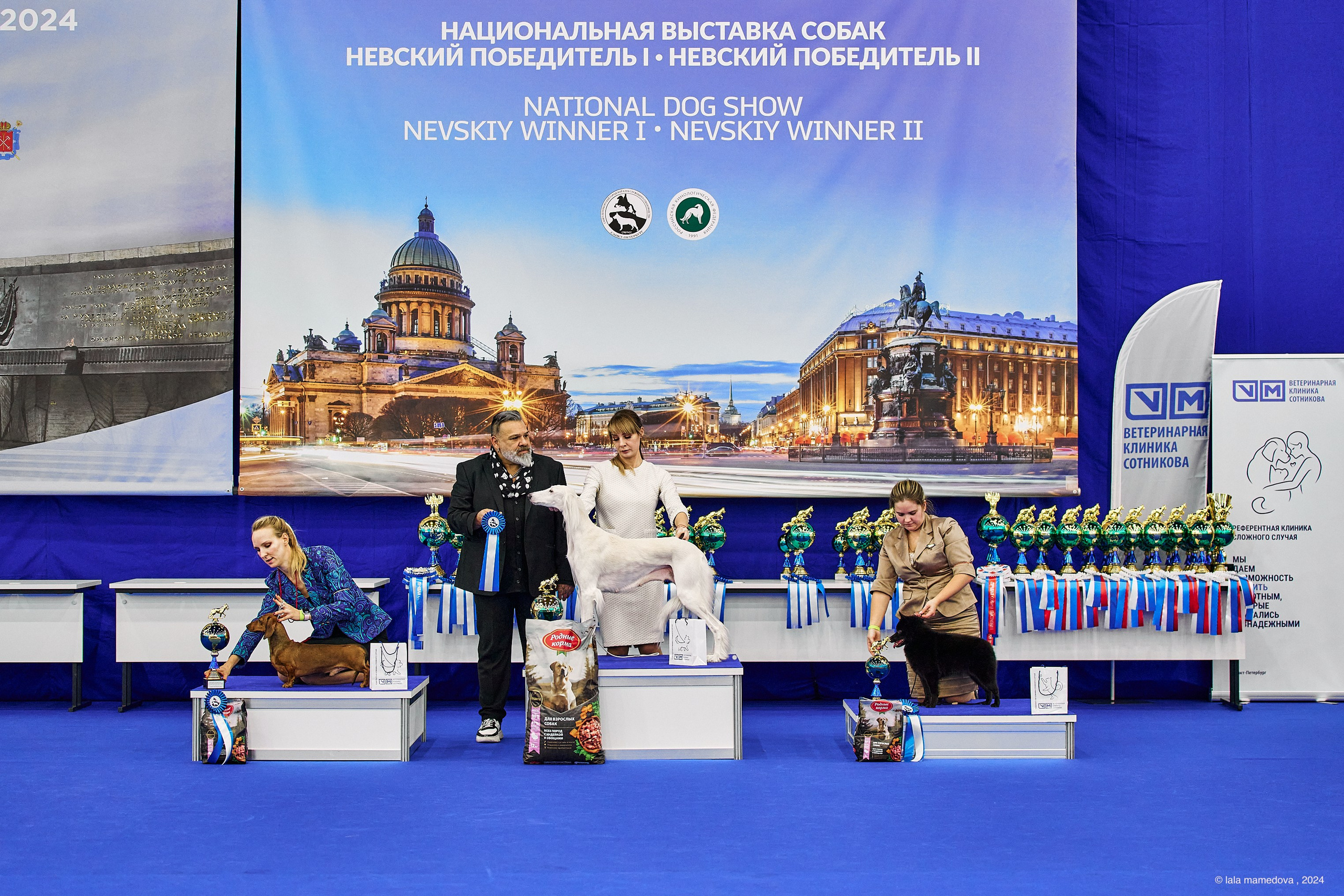 РЕЙТИНГОВАЯ ВЫСТАВКА СОБАК ВСЕХ ПОРОД С ОСОБЫМ СТАТУСОМ"НЕВСКИЙ ПОБЕДИТЕЛЬ-2024-1"