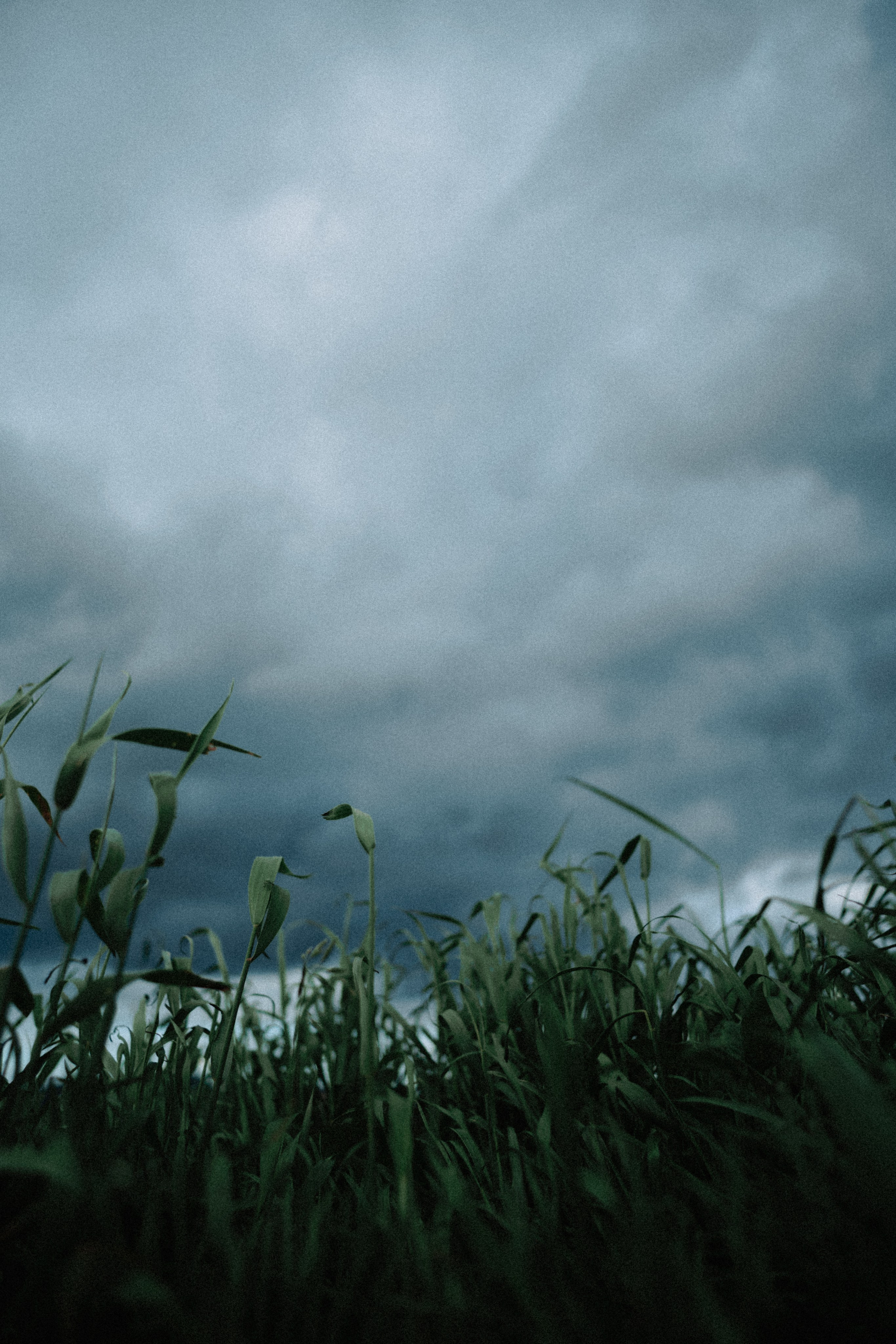 Териберка, Мурманск. Фотосъёмка для компании по организации туров в коллаборации с Яндекс 360