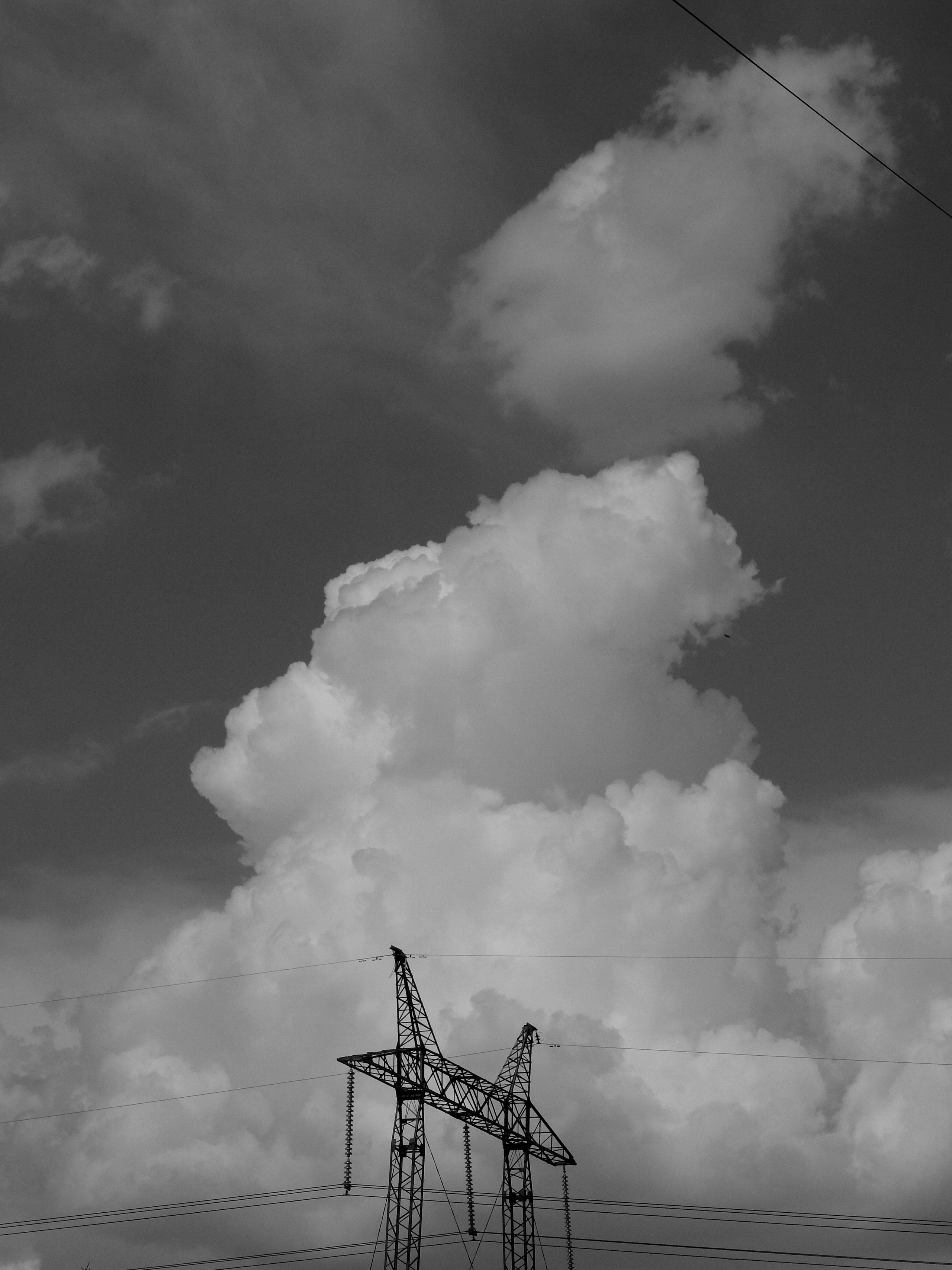 Внутривенные сны (2018-2023)