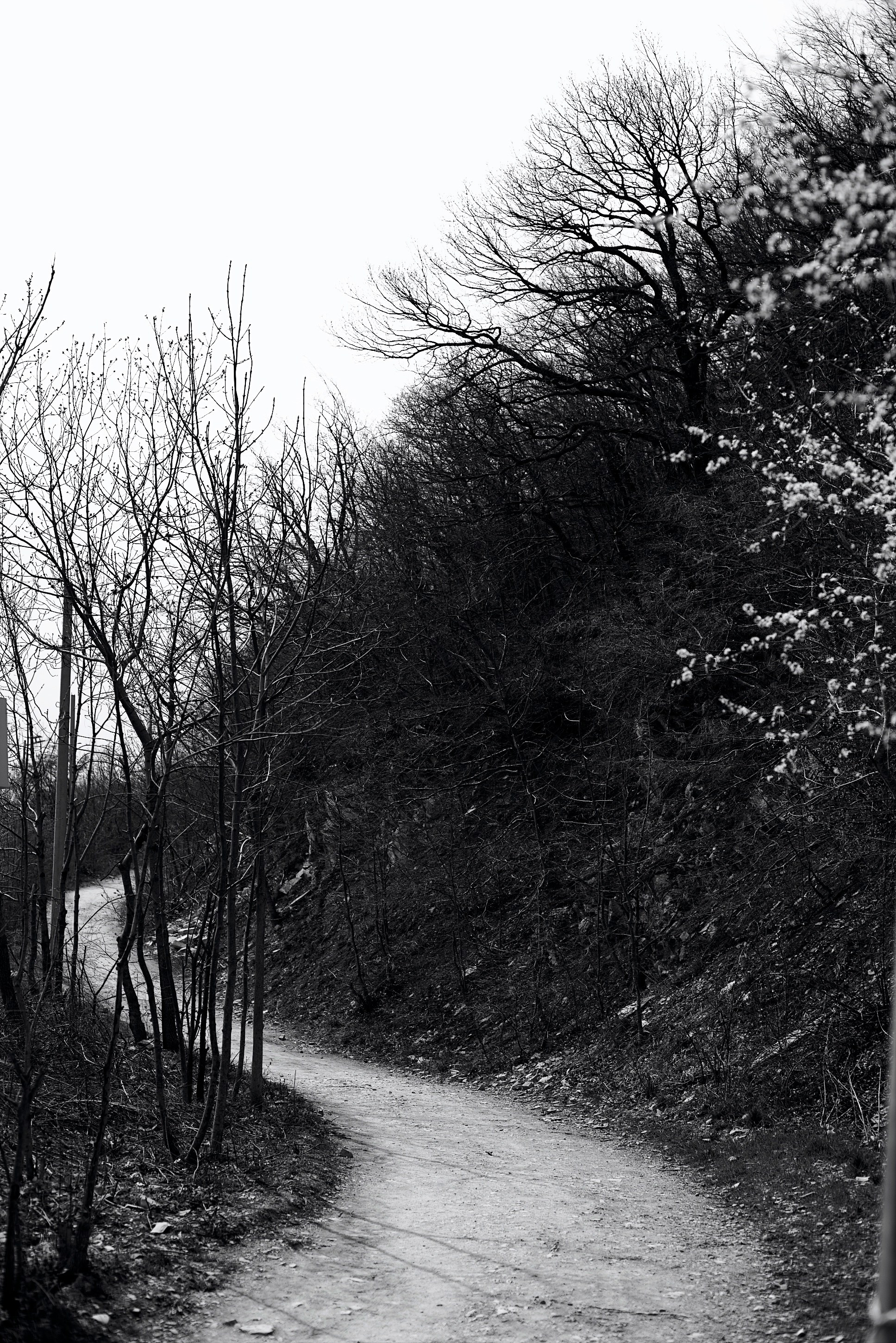 Ольга Жигалова. Анастасия Либерти