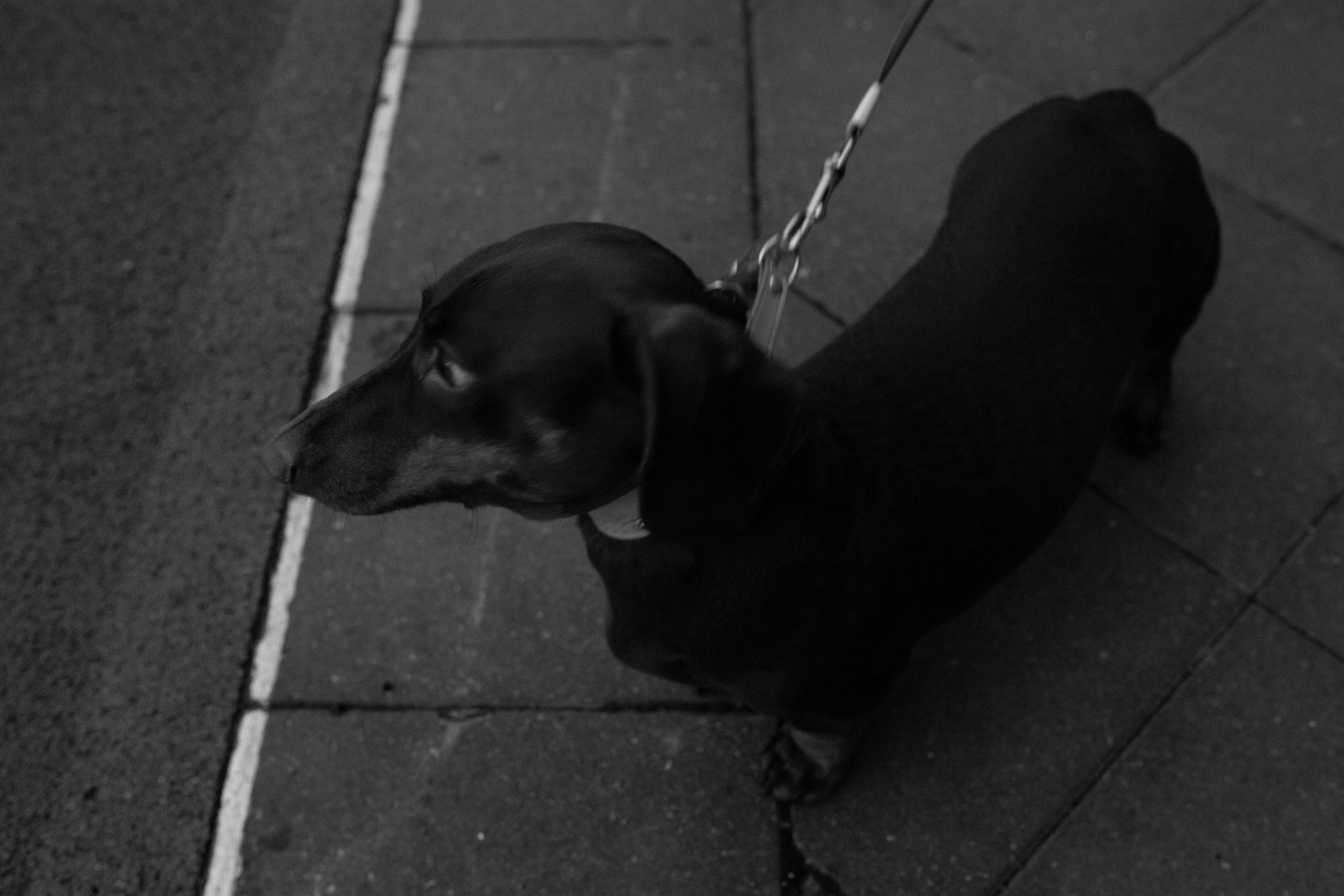 Тренировка сквозь призму чб. Александра Мельниченко/ Бегающий фотограф