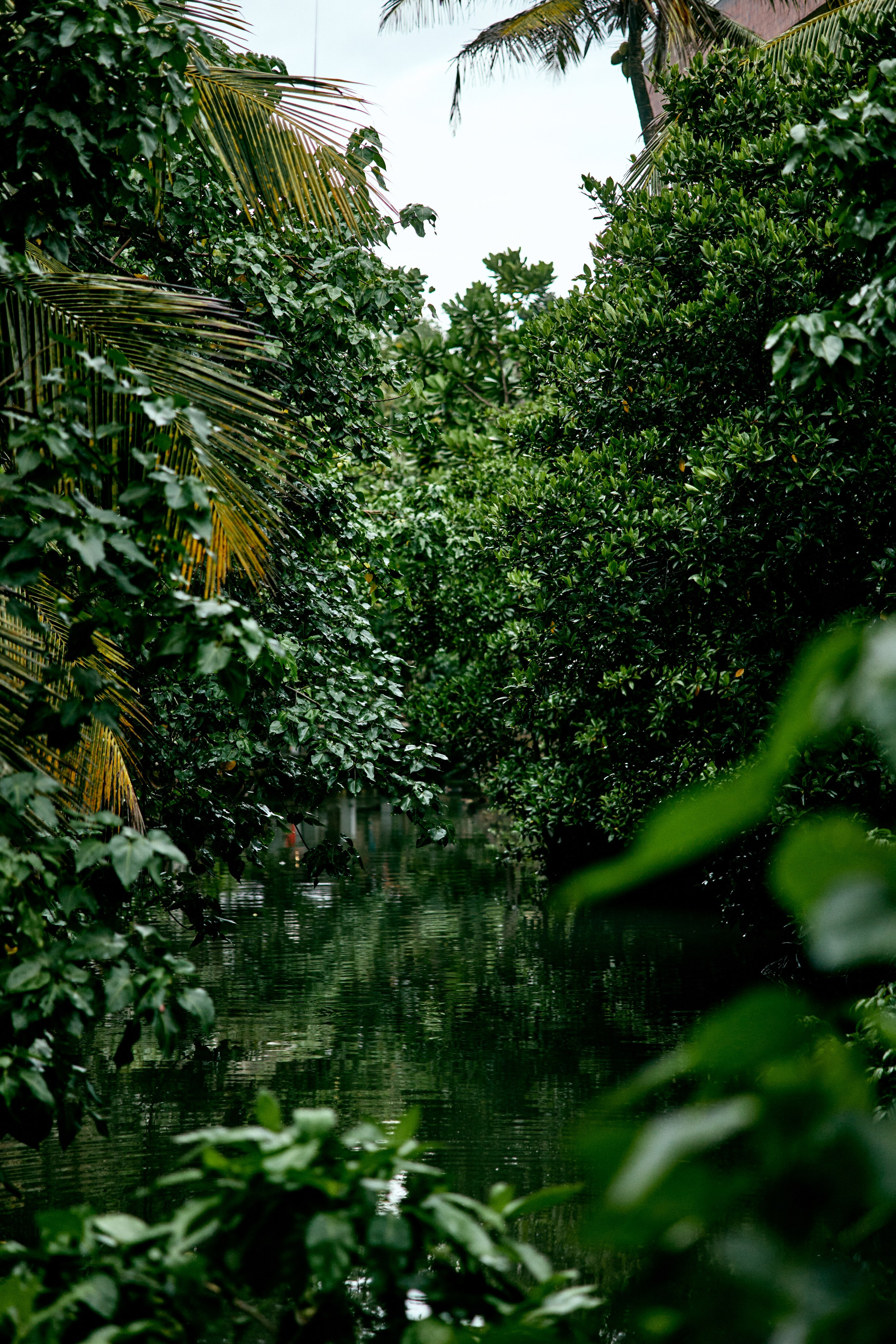 Шри-Ланка. Хороший репортажный и промышленный фотограф в Казани Алексей Щелконогов