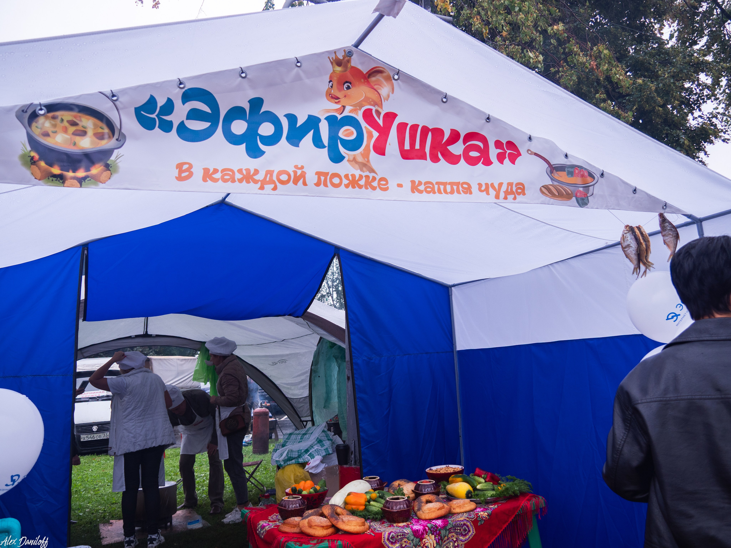 День города Муром 2025. Муром-Инфо. Новости культуры, образования, спорта в городе Муром