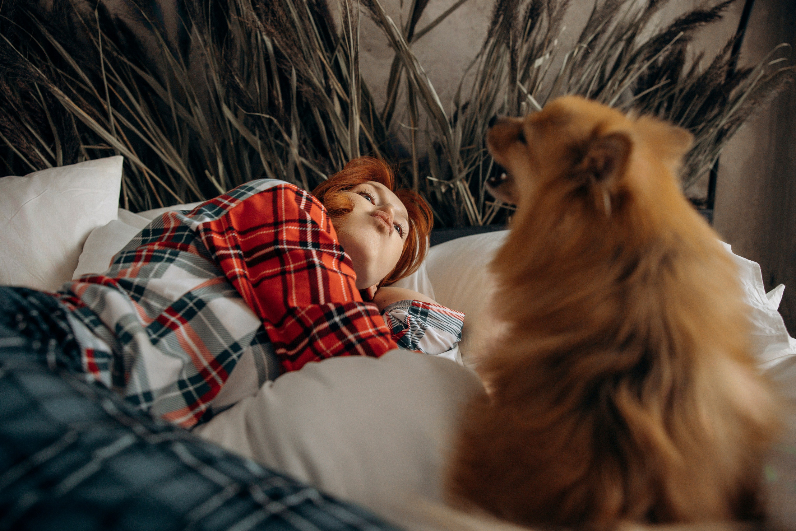 Съемка в студии с собакой. Анастасия Белаш