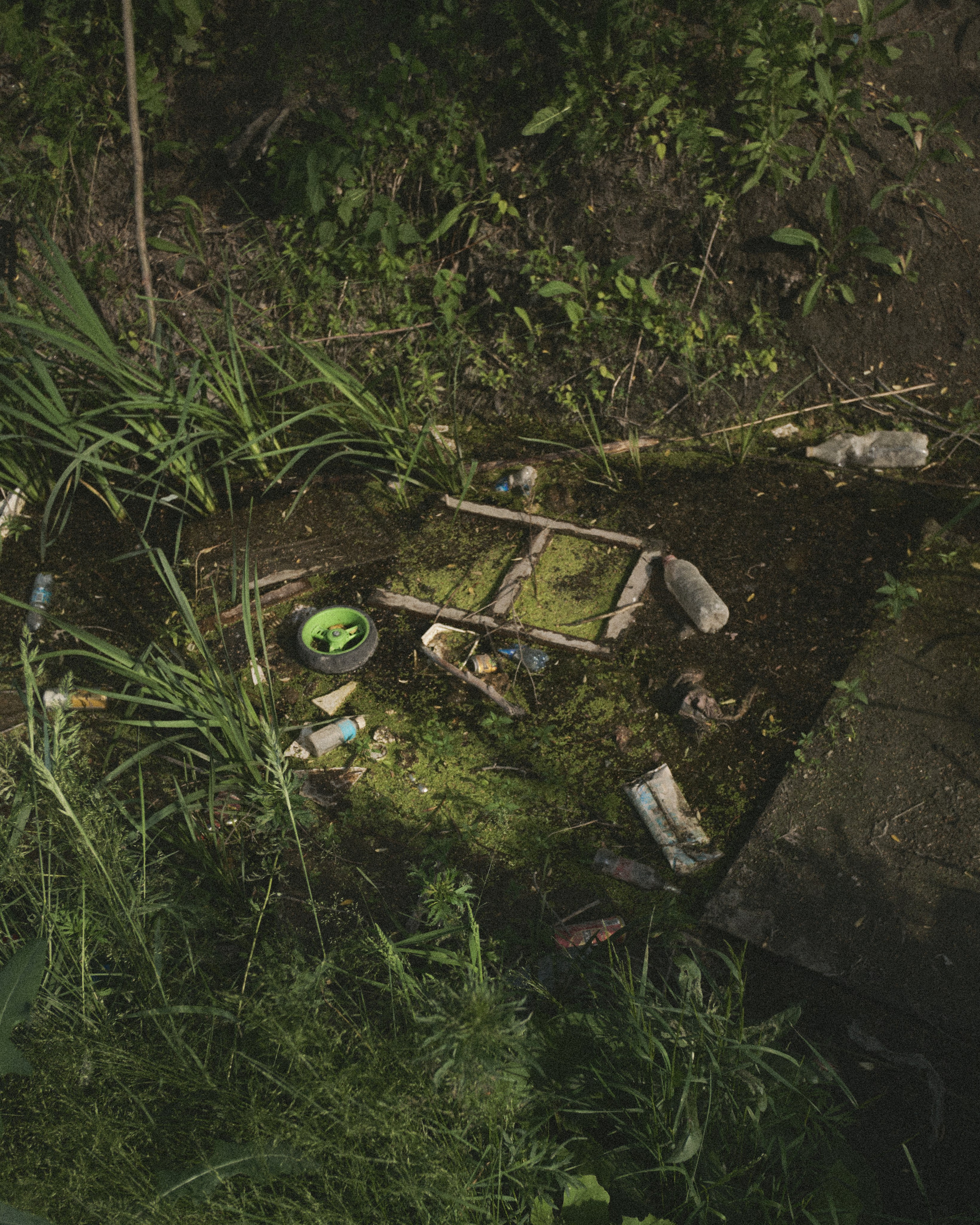 Наблюдения. Семейный фотограф в Новосибирске Артём Кузнецов