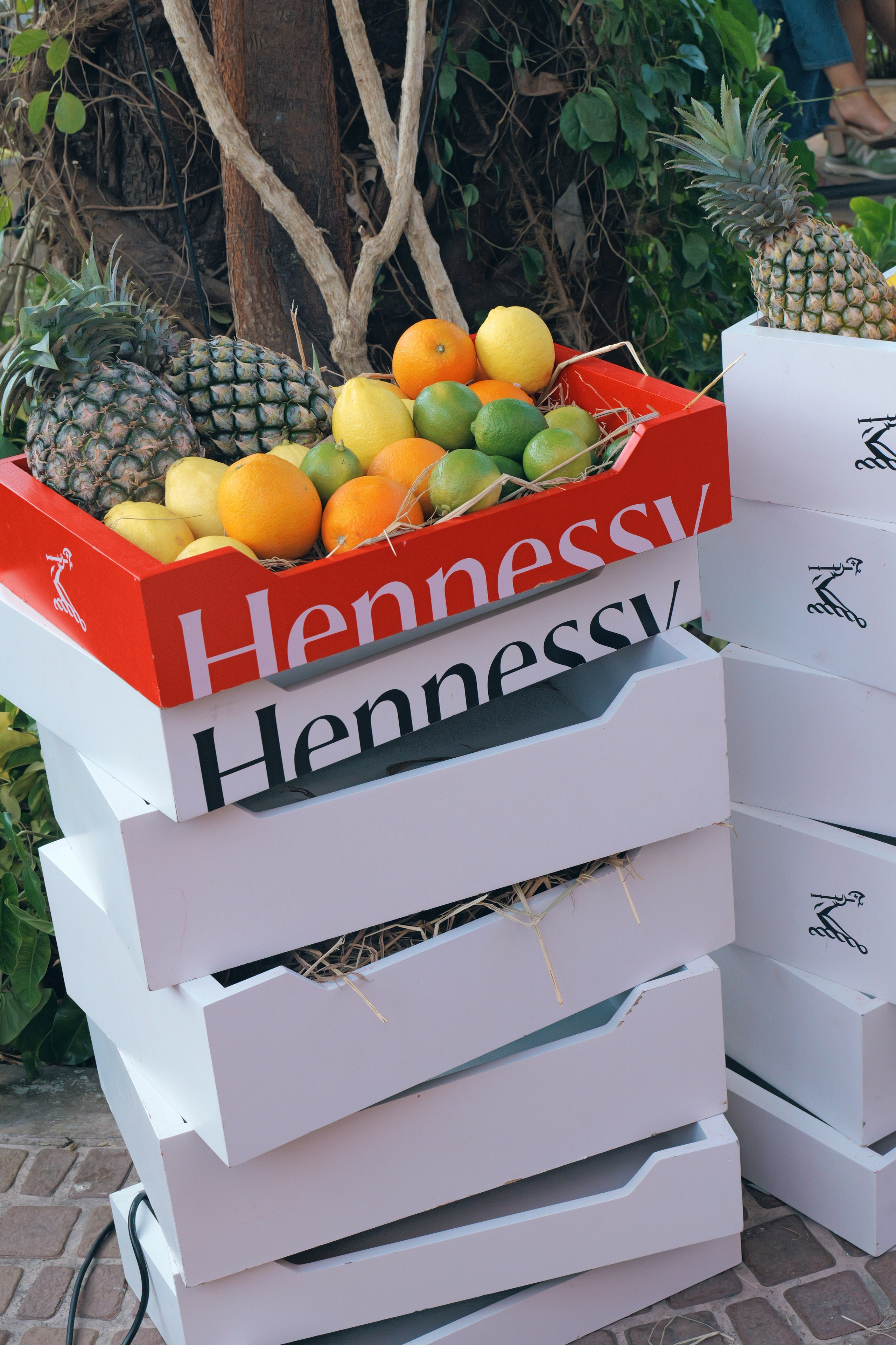 Artists, toga concert, concert photography, del mar, yoga beach club, dj shoot