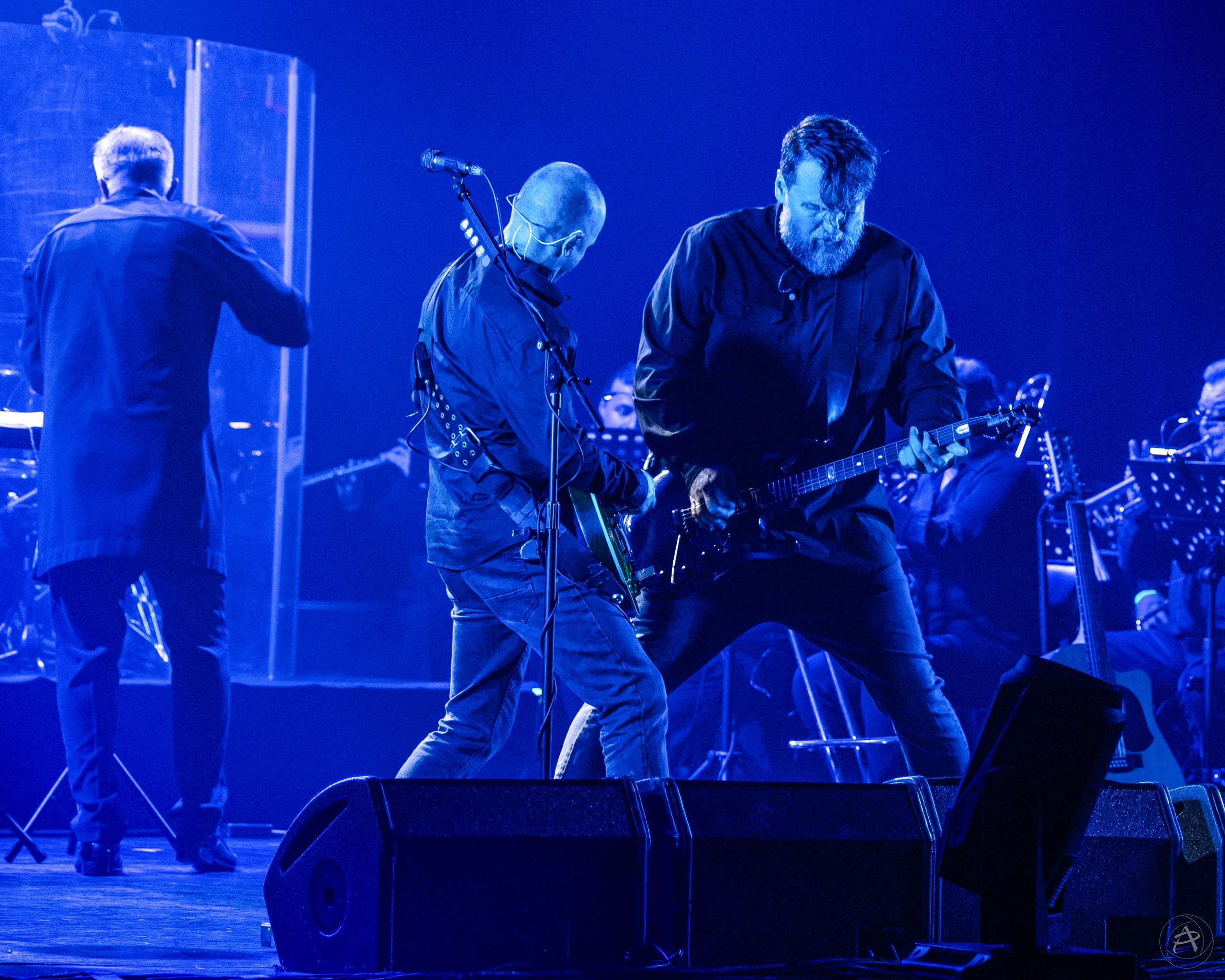 Северный Флот. ДК ПЗ (Вологда). Концертный фотограф Аля Рашпиль