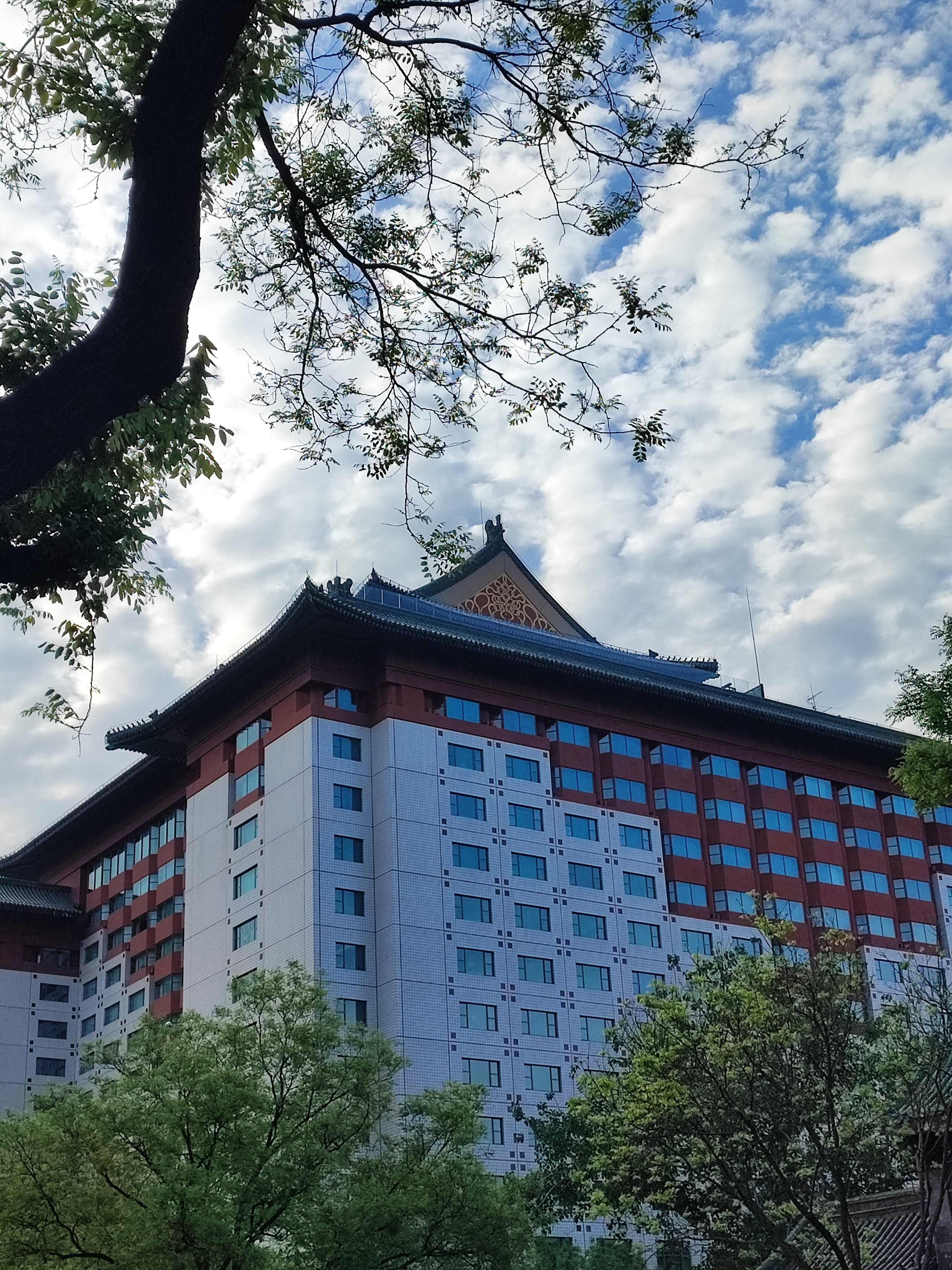 Намобилкус китайский. Репортажный фотограф Алексей Пирязев