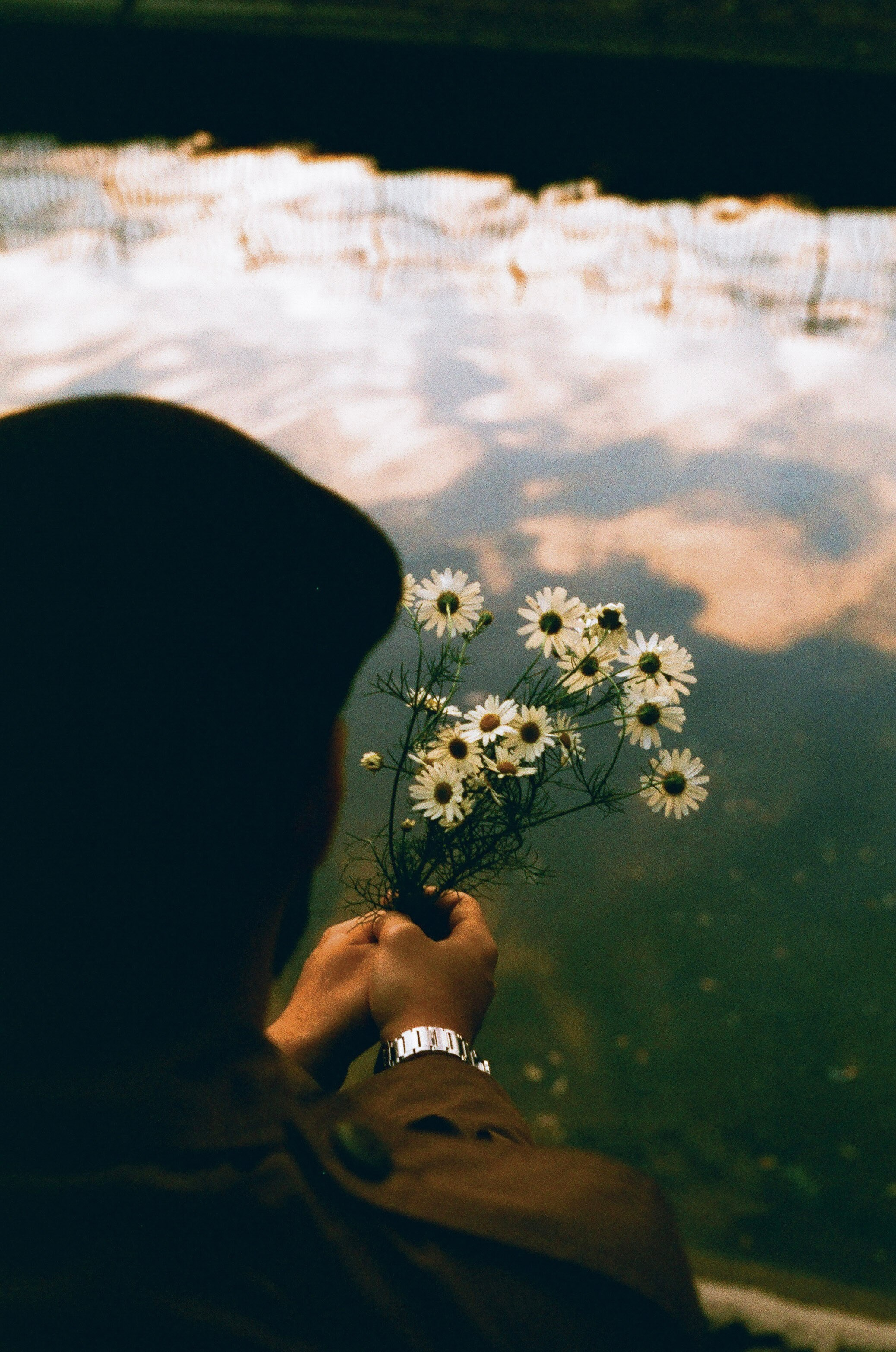 Портфолио. Пленочный фотограф