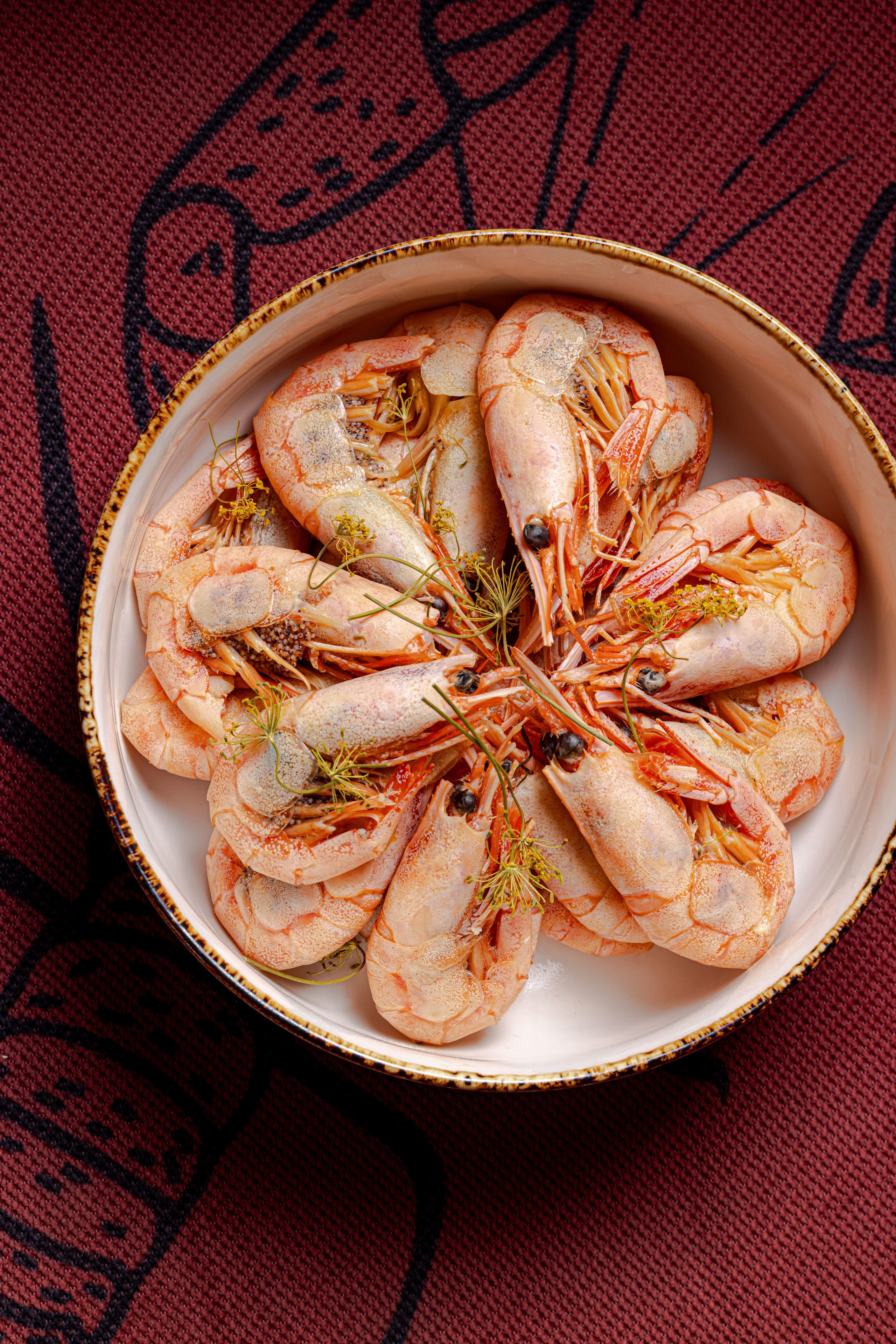 Раки и Гады