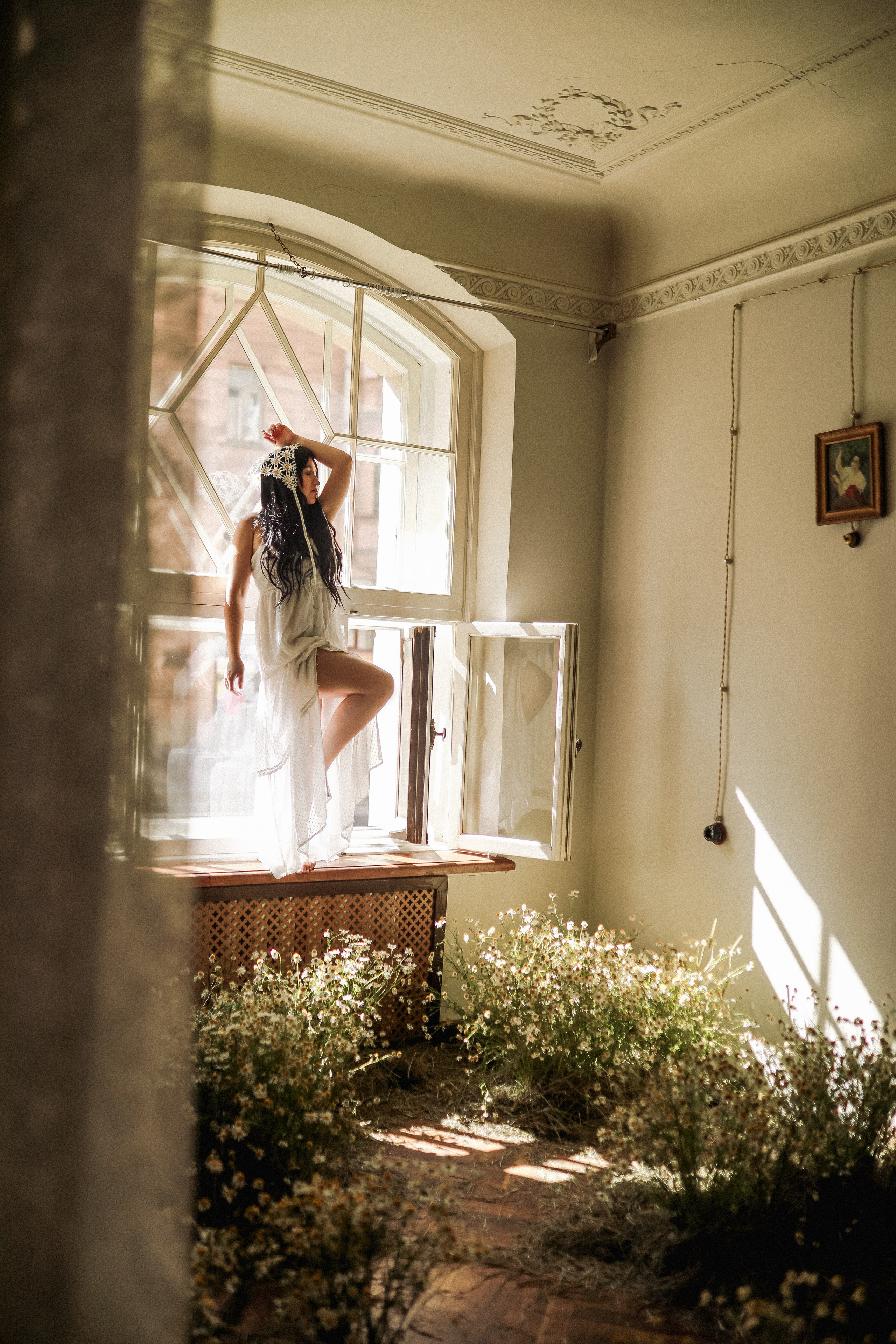 Сон в летнюю ночь | Ромашковое поле