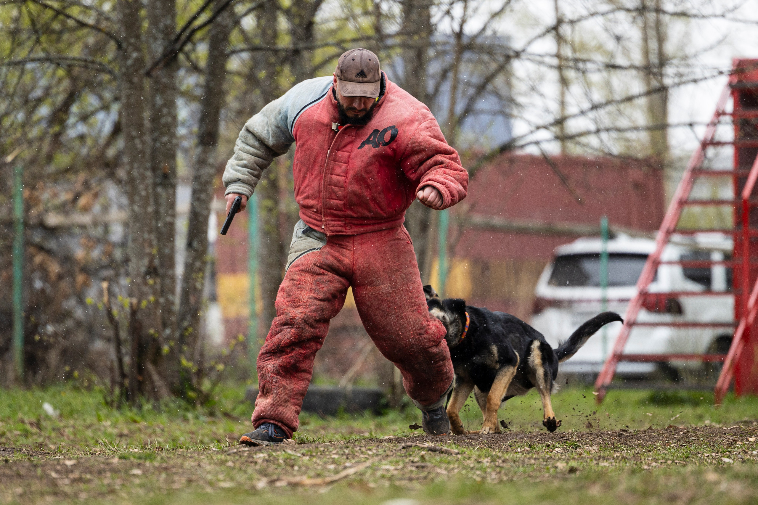 Квалификационные состязания по мондьорингу г. Вологда 11.05.24. Фотограф-анималист Анна Маринич