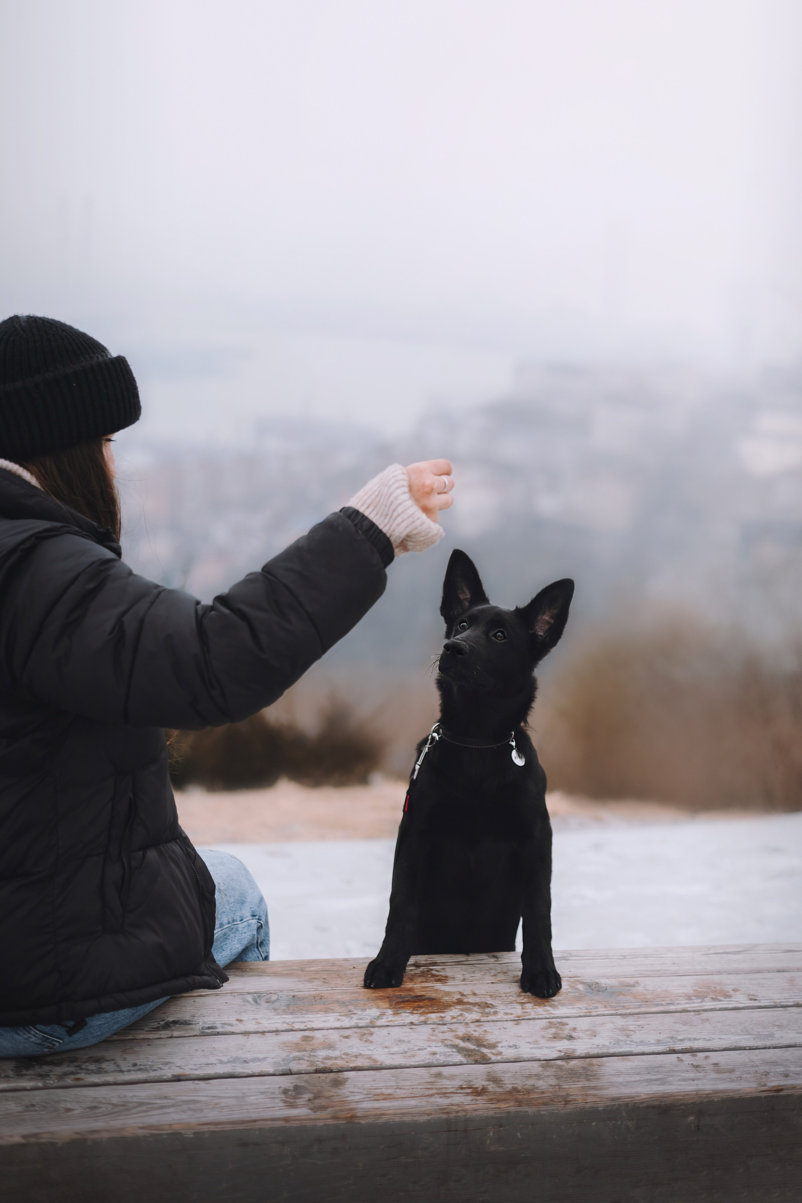Ксения и Юта. Фотограф — анималист Владивосток, Алина