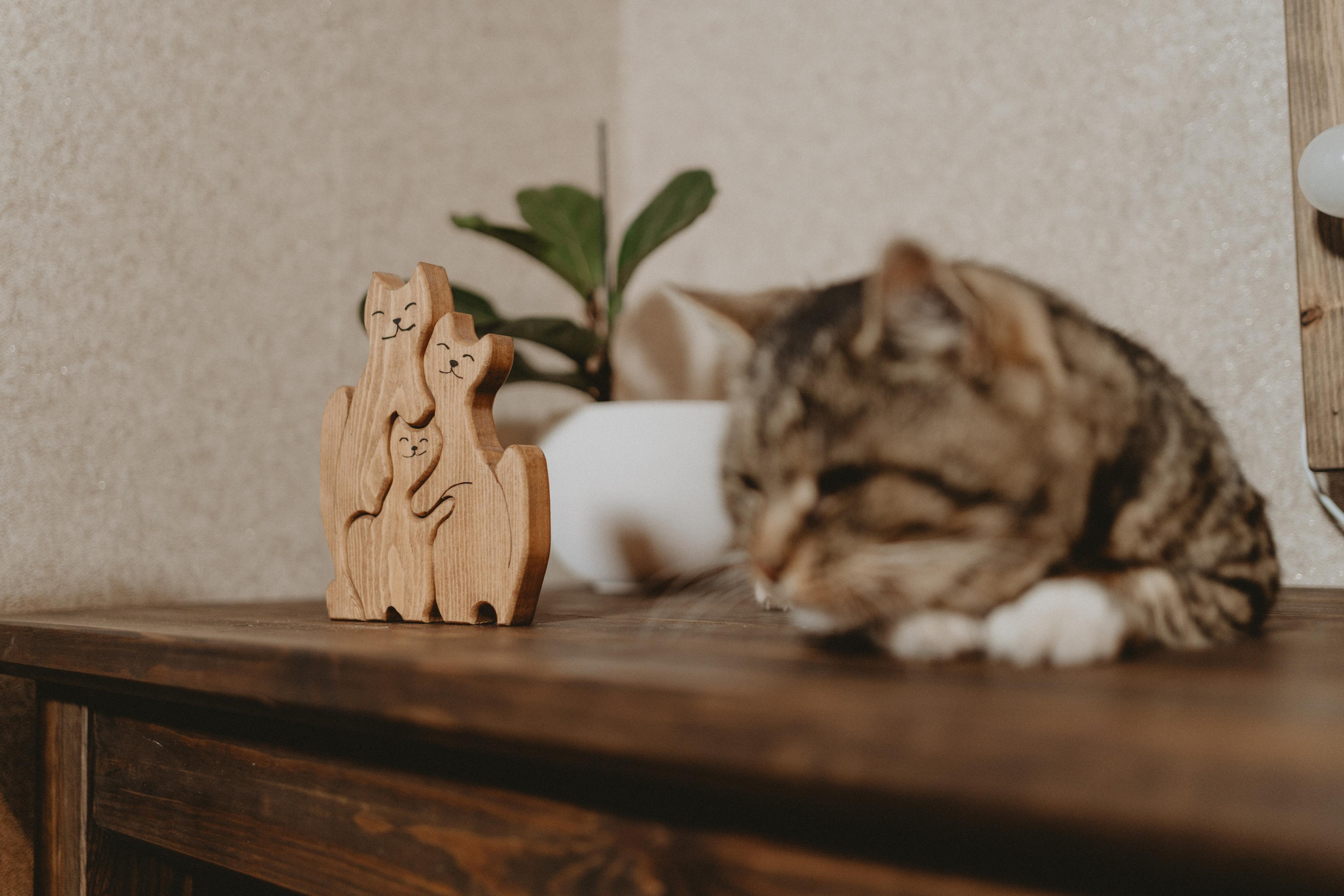 Контент для столяра. Свадебный и семейный фотограф в Калининграде Алина Свиклан