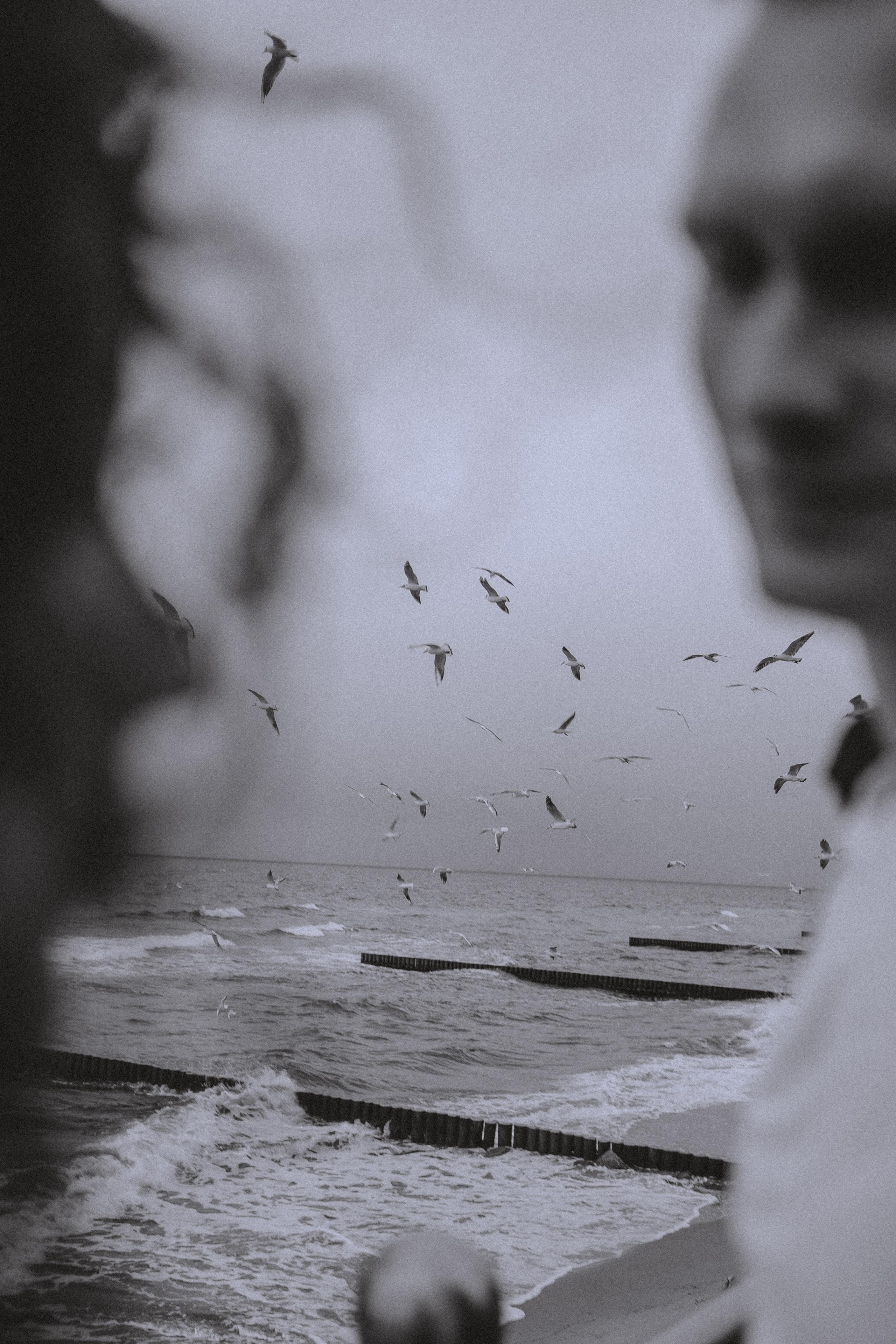 Маша и Вова. Свадебный и семейный фотограф в Калининграде Алина Свиклан