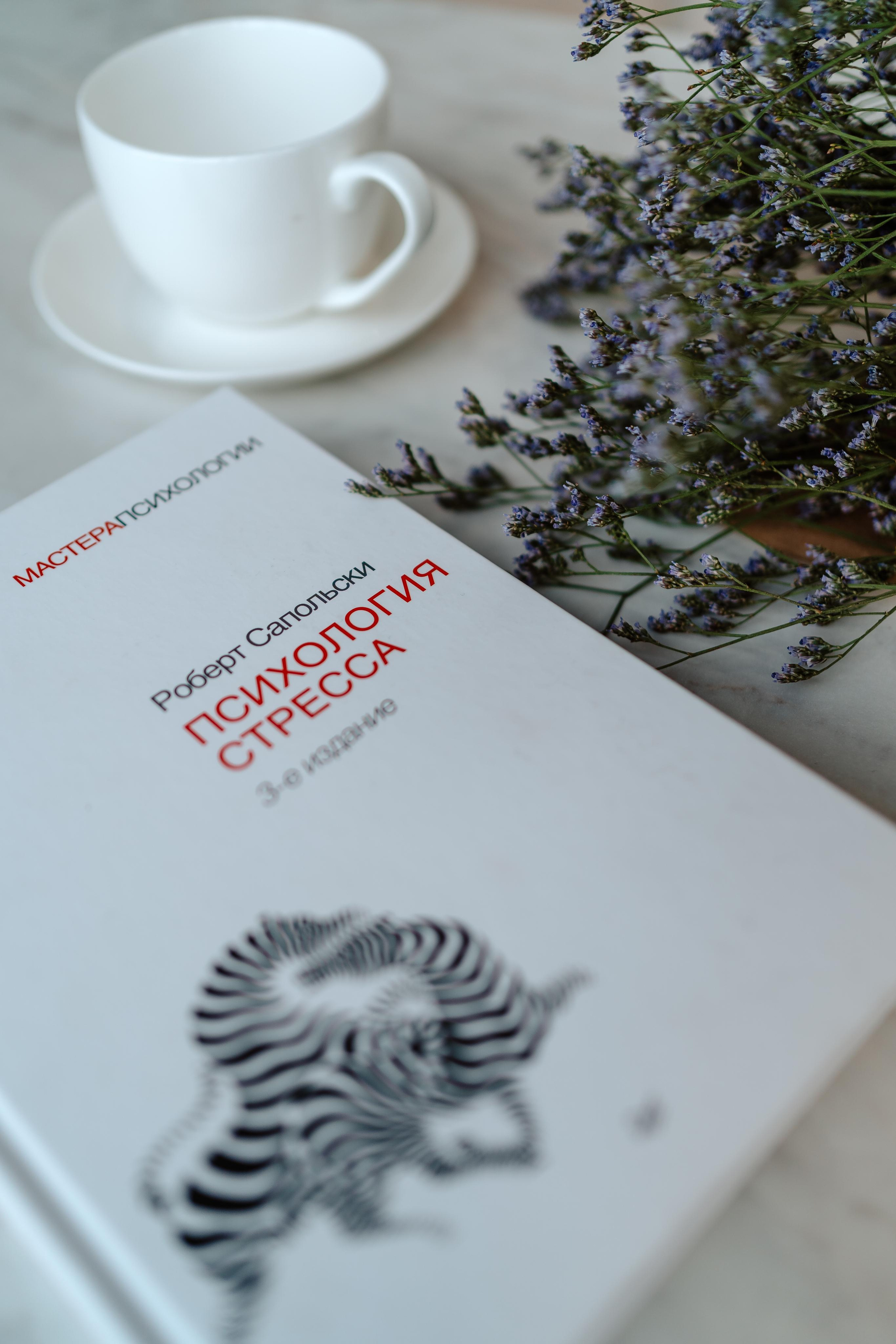 Контент для коуча. Свадебный и семейный фотограф в Калининграде Алина Свиклан