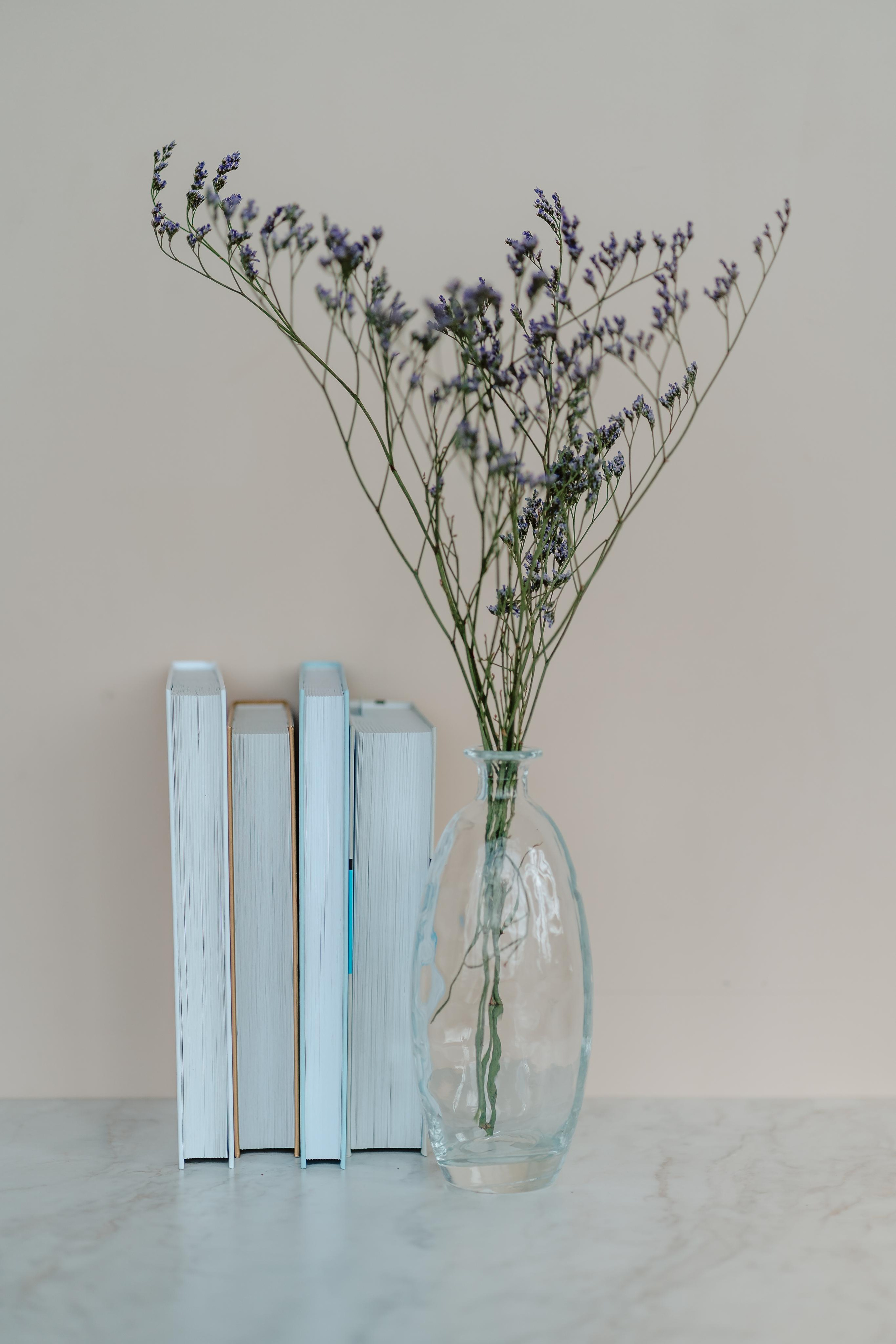 Контент для коуча. Свадебный и семейный фотограф в Калининграде Алина Свиклан