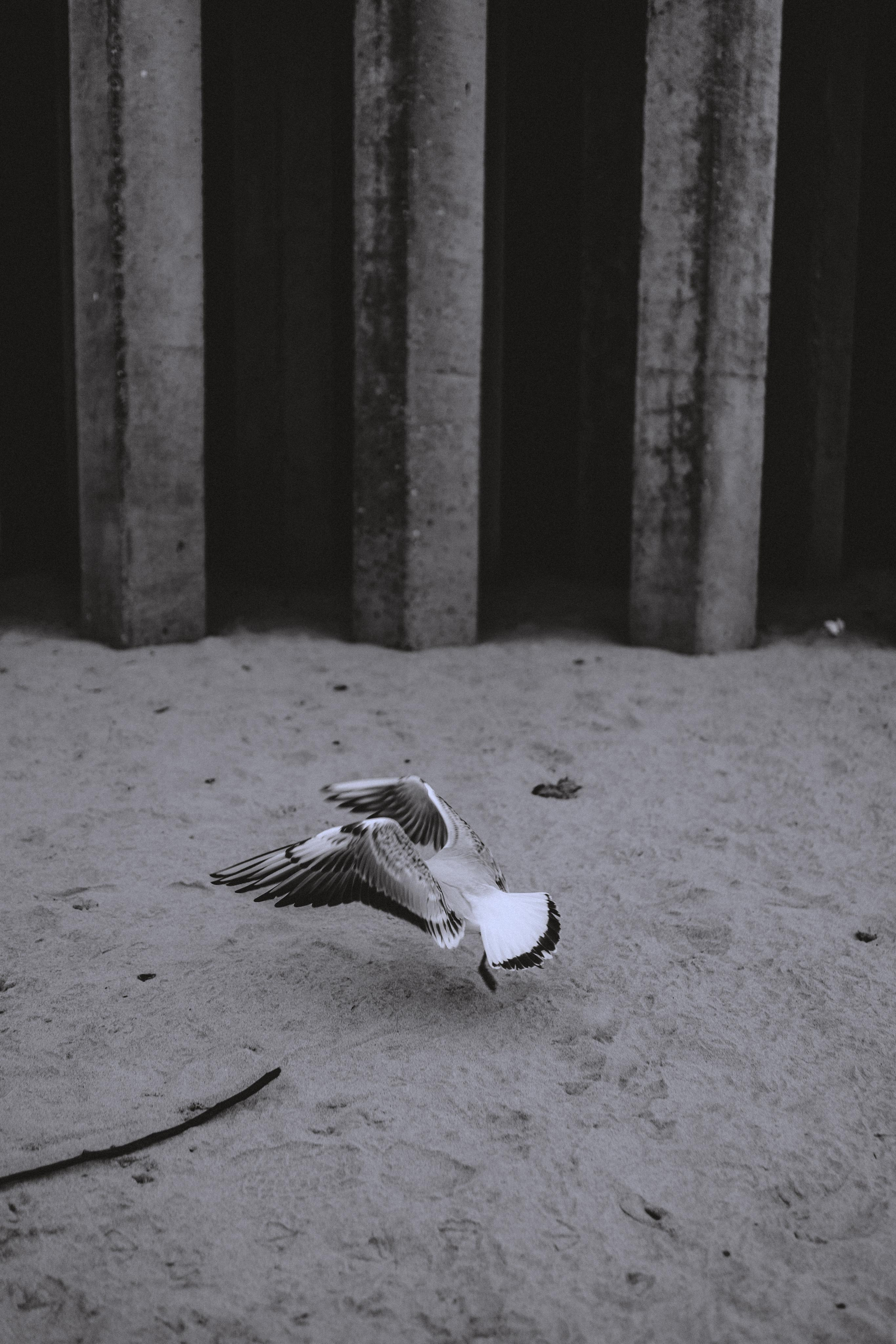 Контент для коуча. Свадебный и семейный фотограф в Калининграде Алина Свиклан