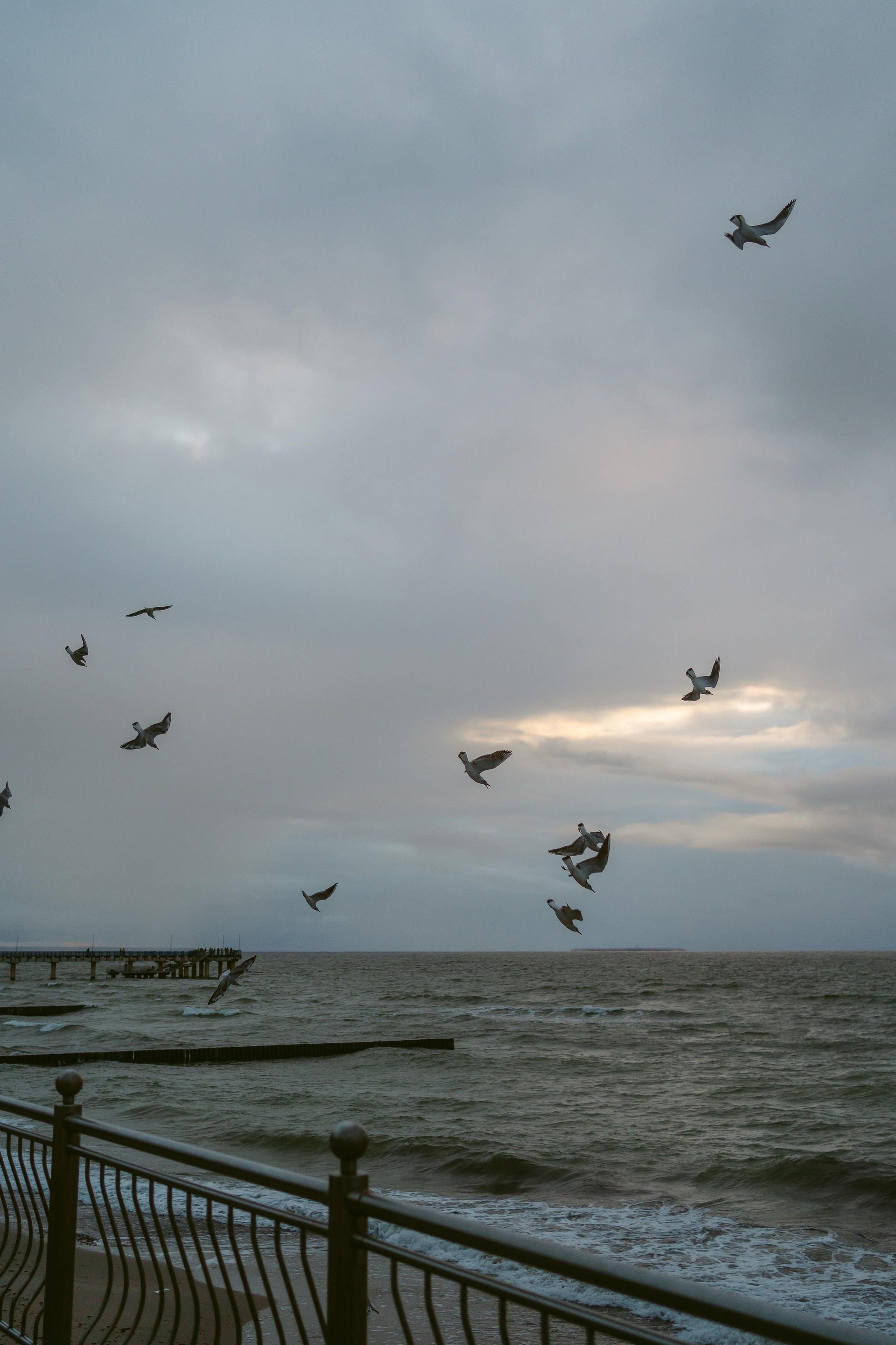 Маша и Вова. Свадебный и семейный фотограф в Калининграде Алина Свиклан