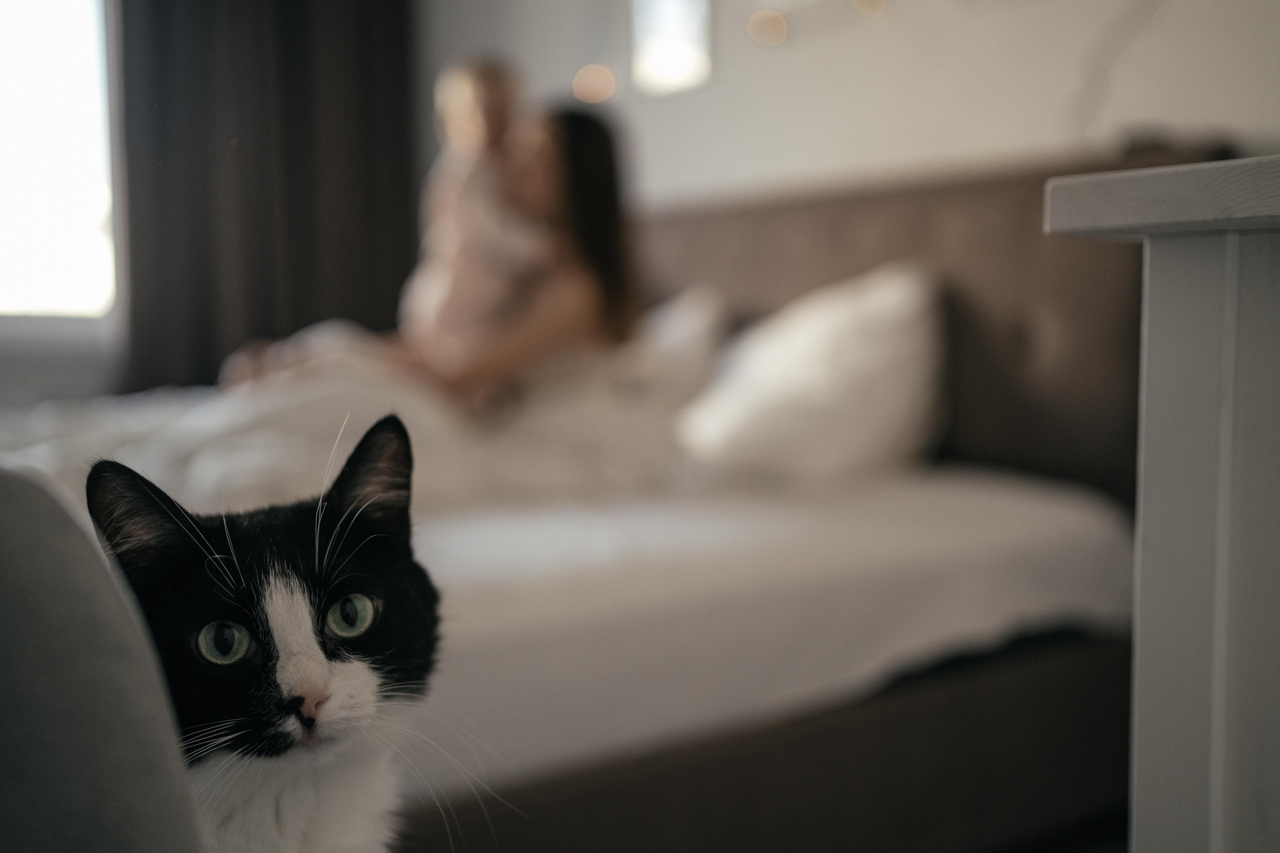 Настя, Кирилл и Маруся. Свадебный и семейный фотограф в Калининграде Алина Свиклан