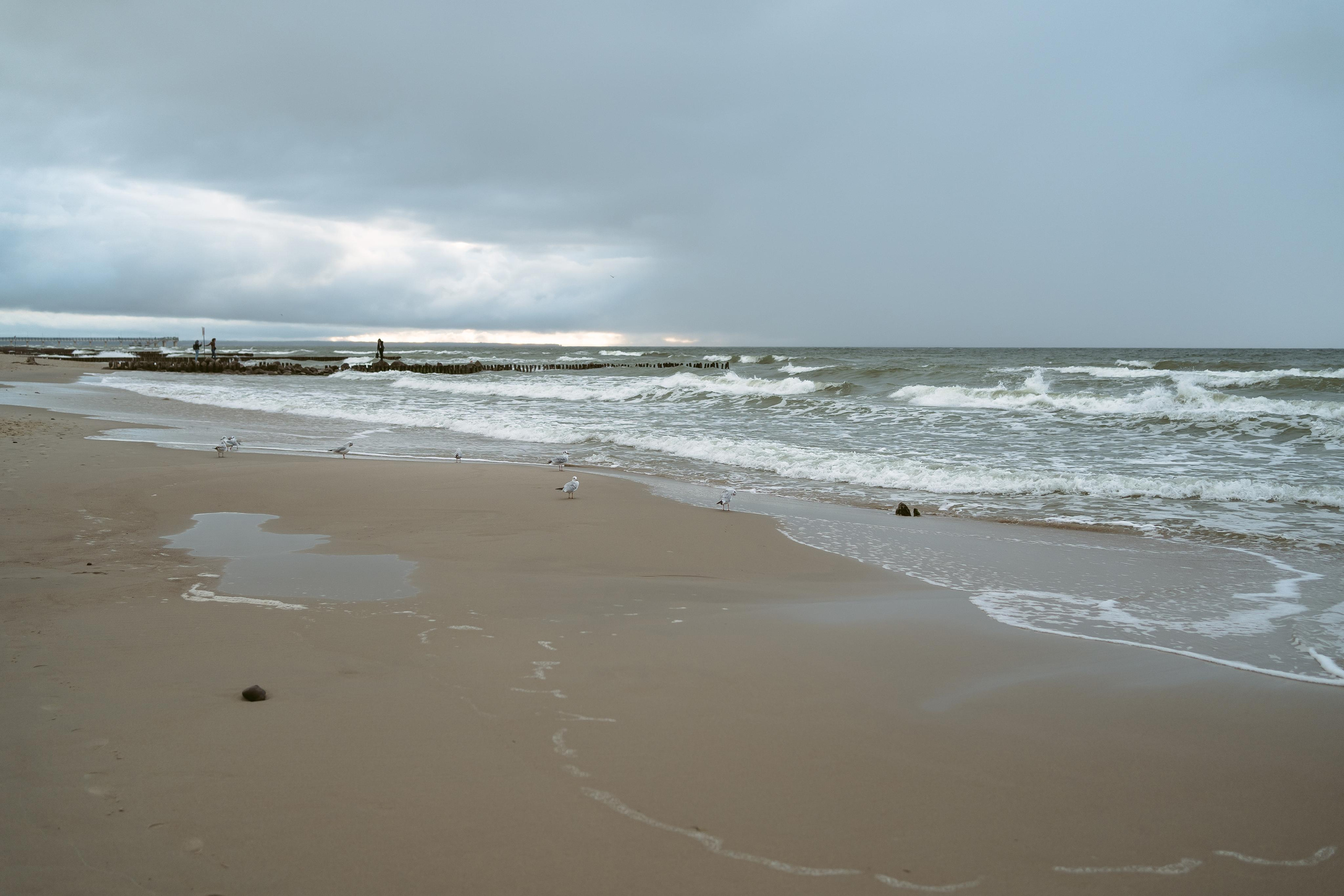 Маша и Вова. Свадебный и семейный фотограф в Калининграде Алина Свиклан