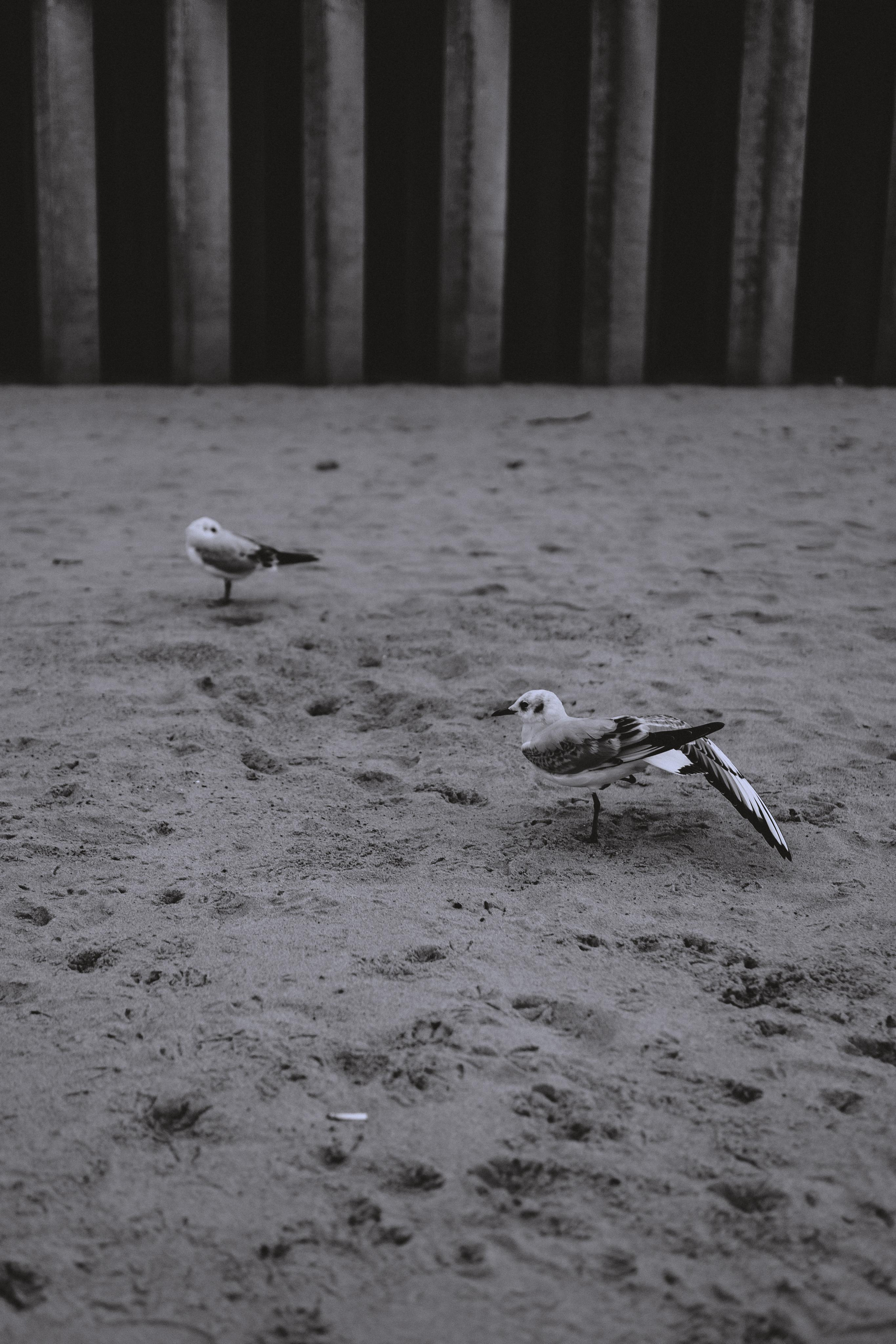 Контент для коуча. Свадебный и семейный фотограф в Калининграде Алина Свиклан