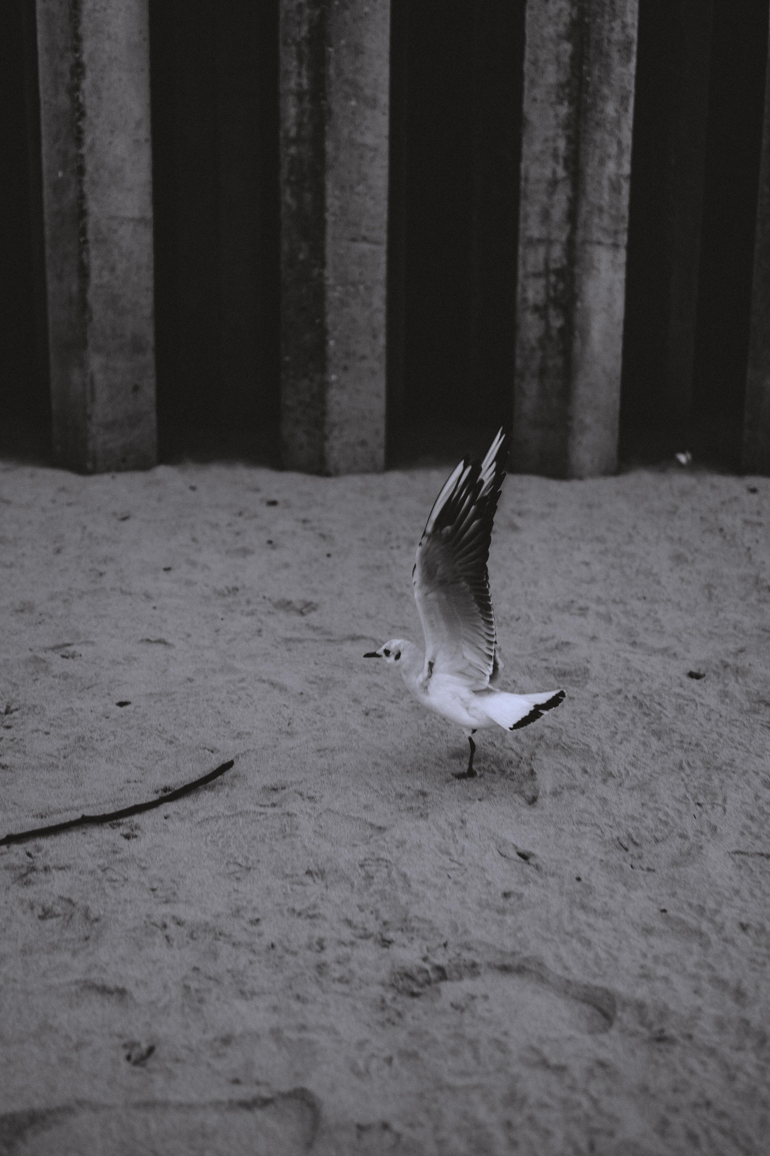 Контент для коуча. Свадебный и семейный фотограф в Калининграде Алина Свиклан