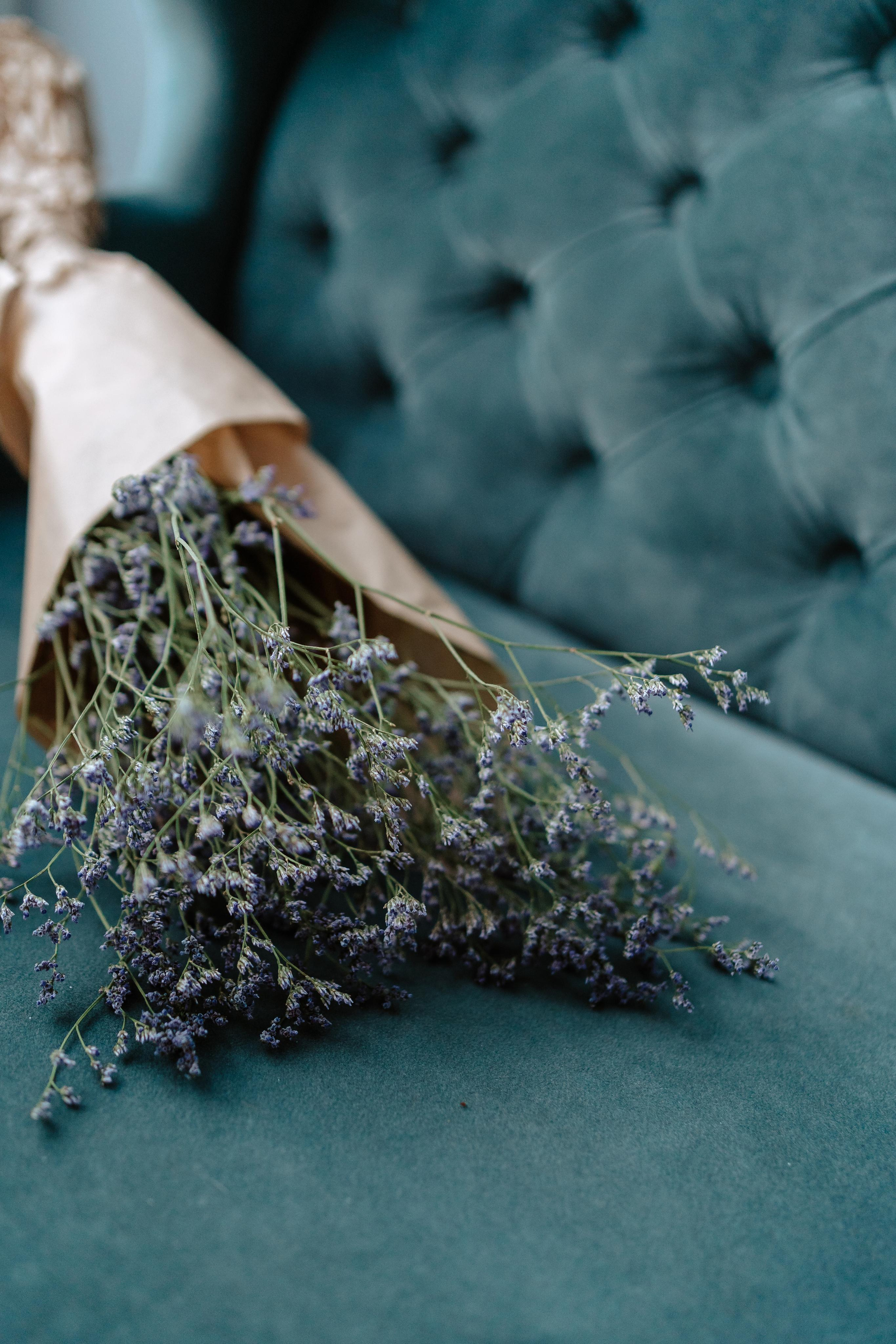 Контент для коуча. Свадебный и семейный фотограф в Калининграде Алина Свиклан