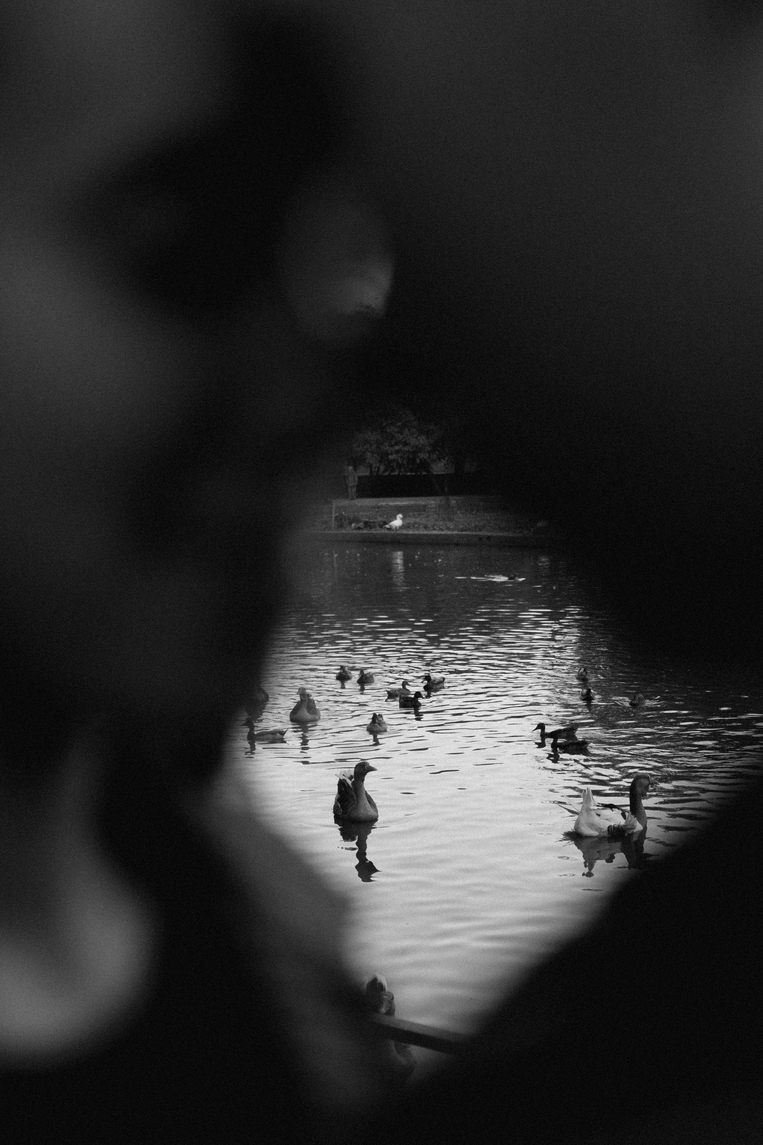 Миша и Полина. Семейный фотограф в Краснодаре Храмова Анна